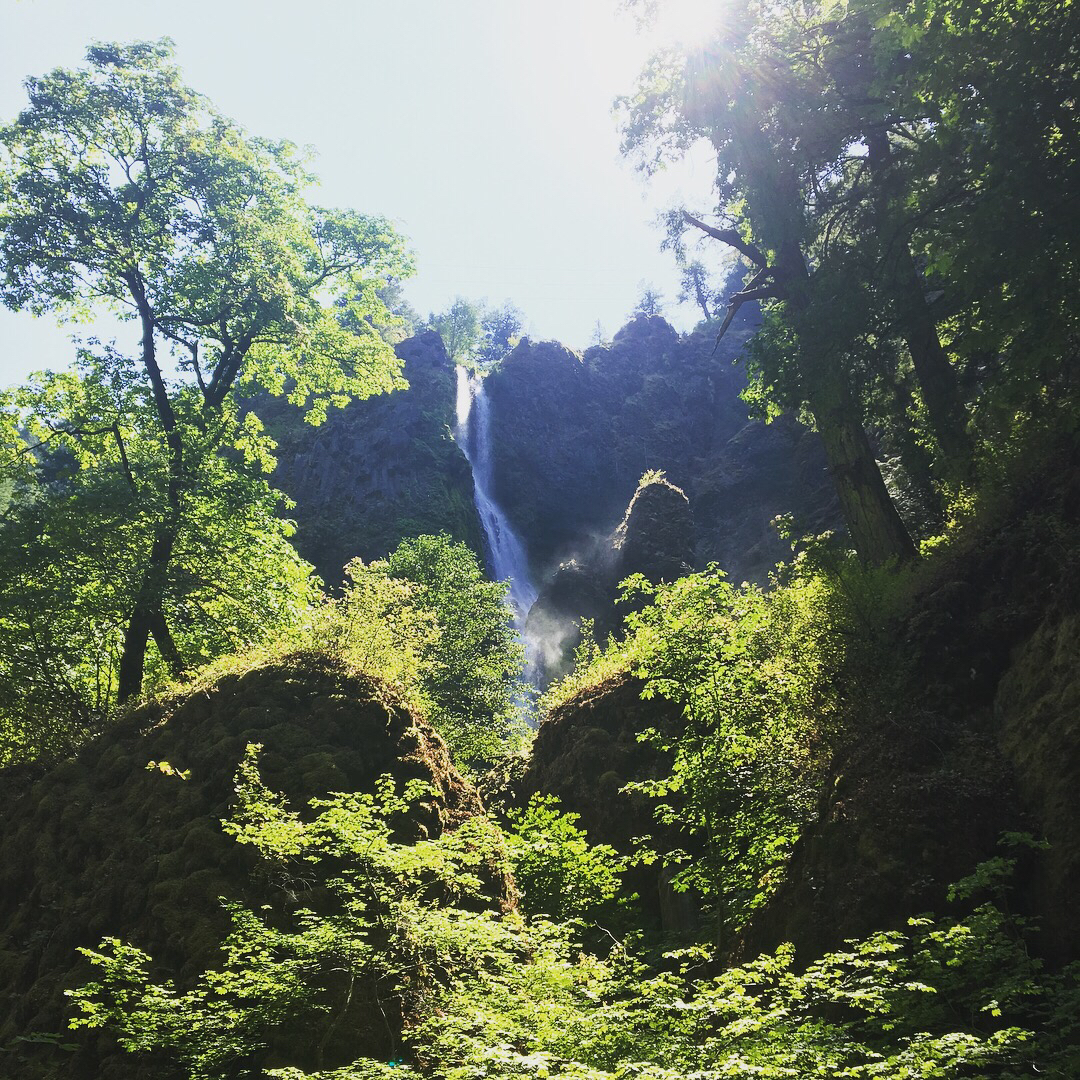 Starvation Creek Falls 