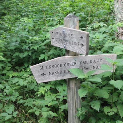 Backpack Slickrock Creek Trail #42