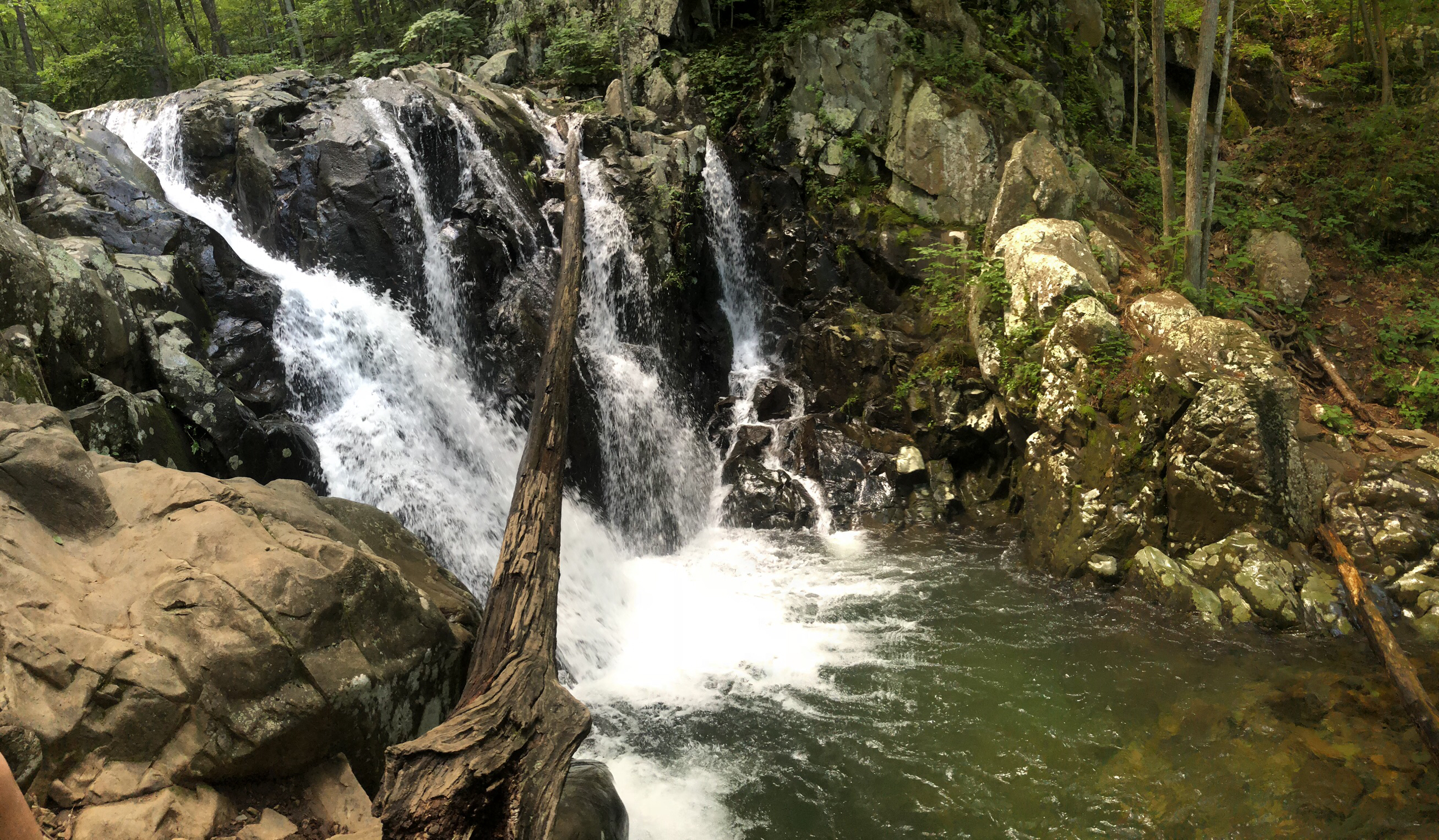 Rose River Falls Loop