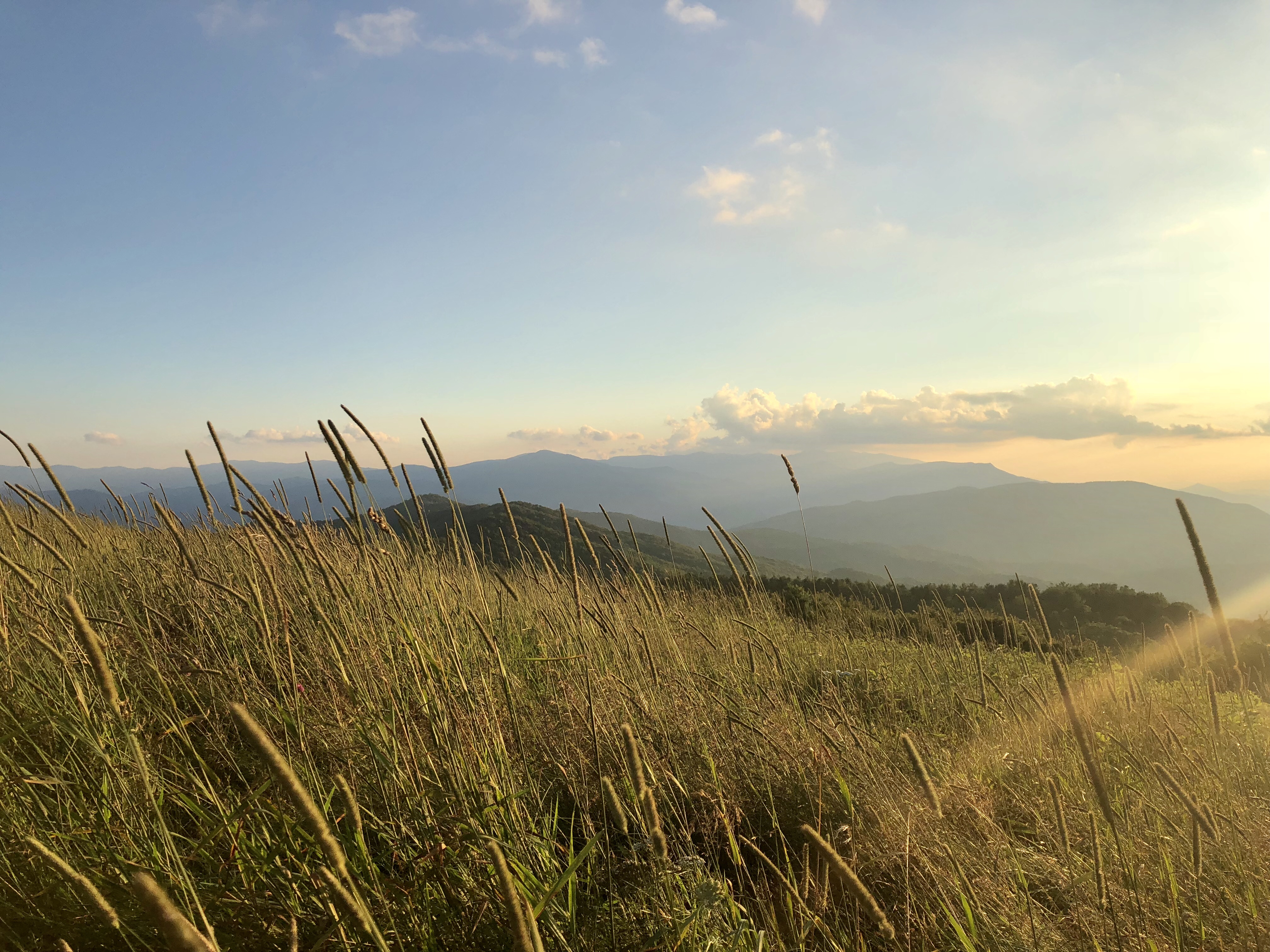 Max Patch Mountain