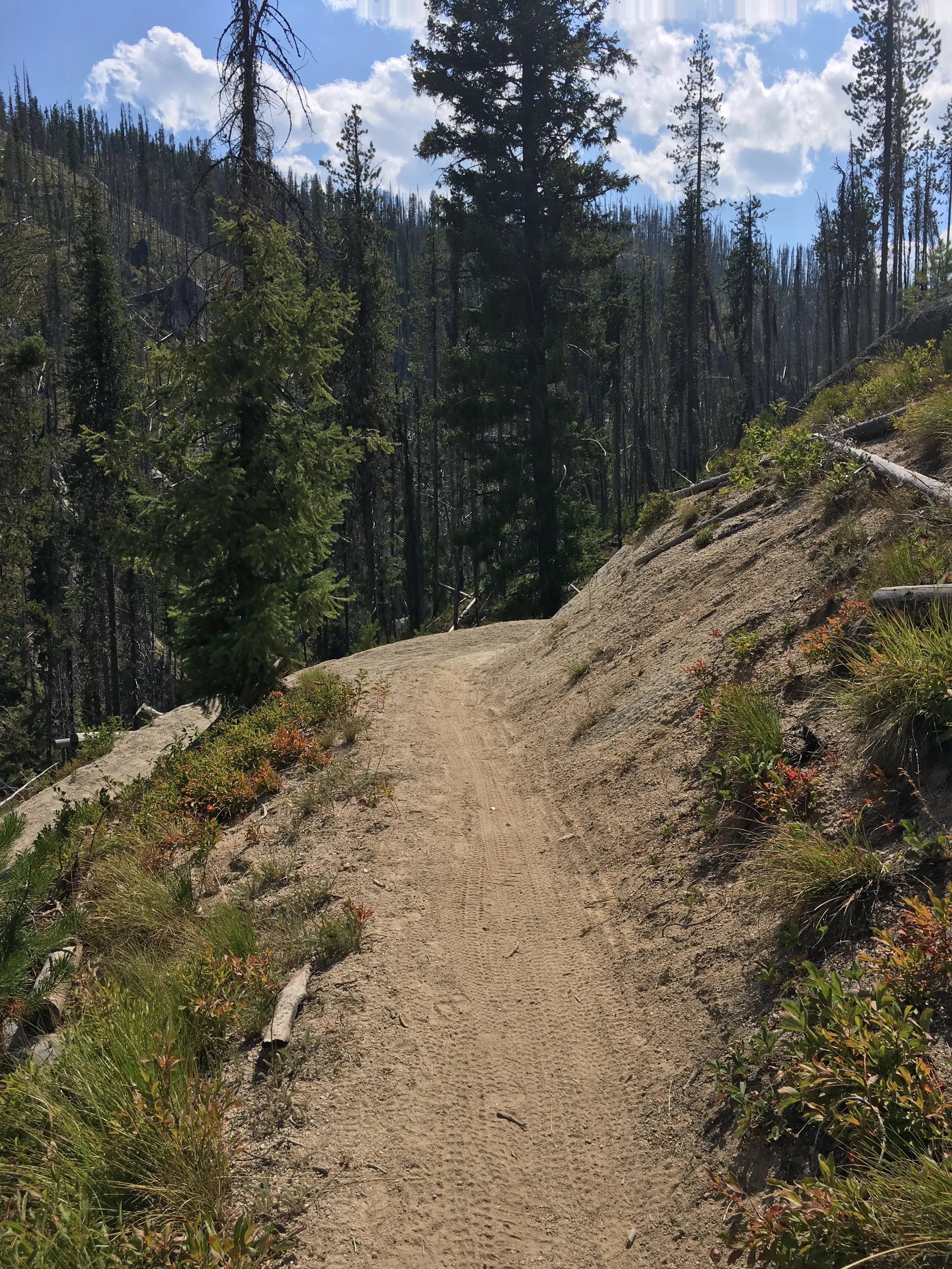 Hike to Loon Lake