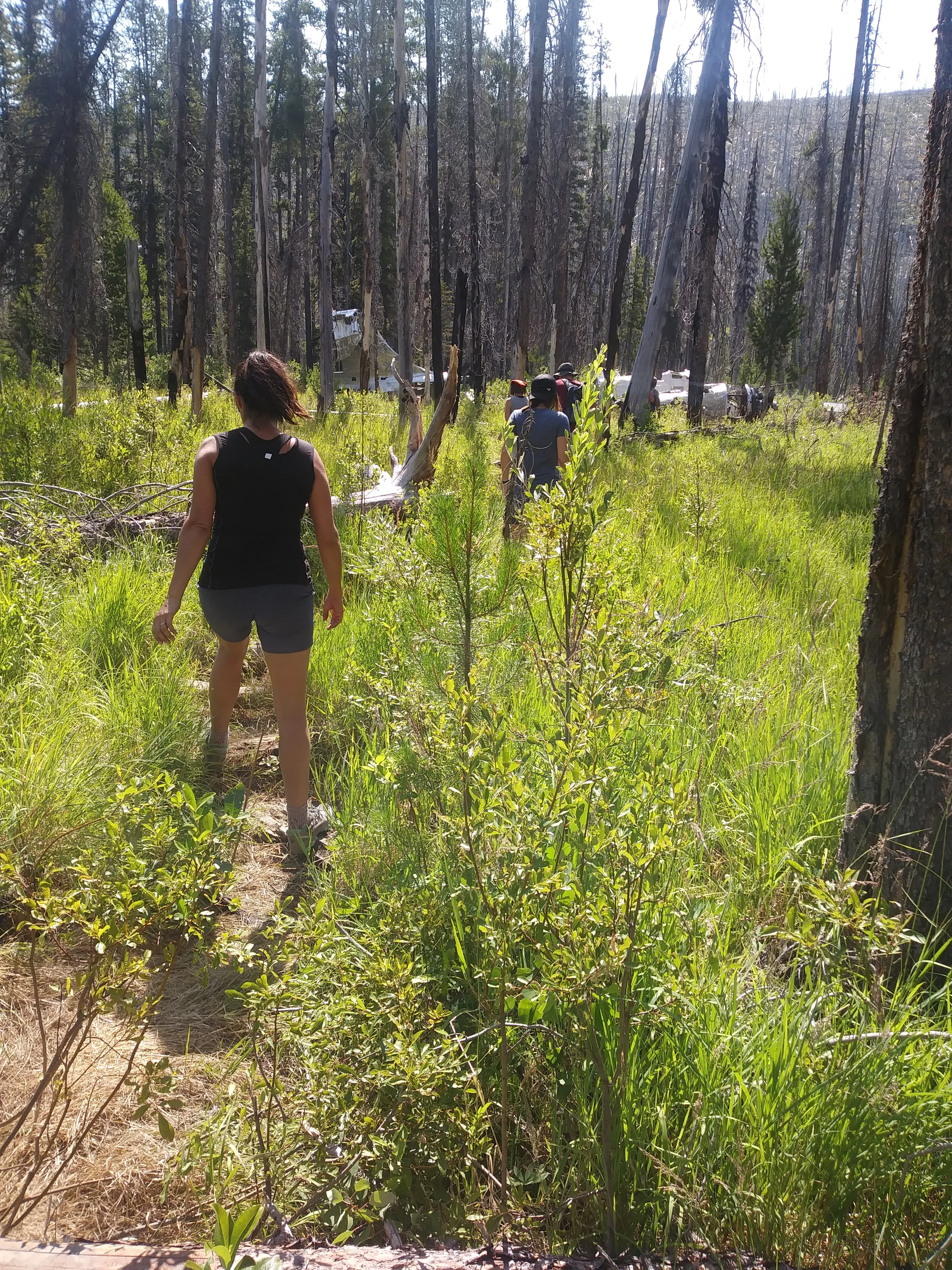 Hike to Loon Lake