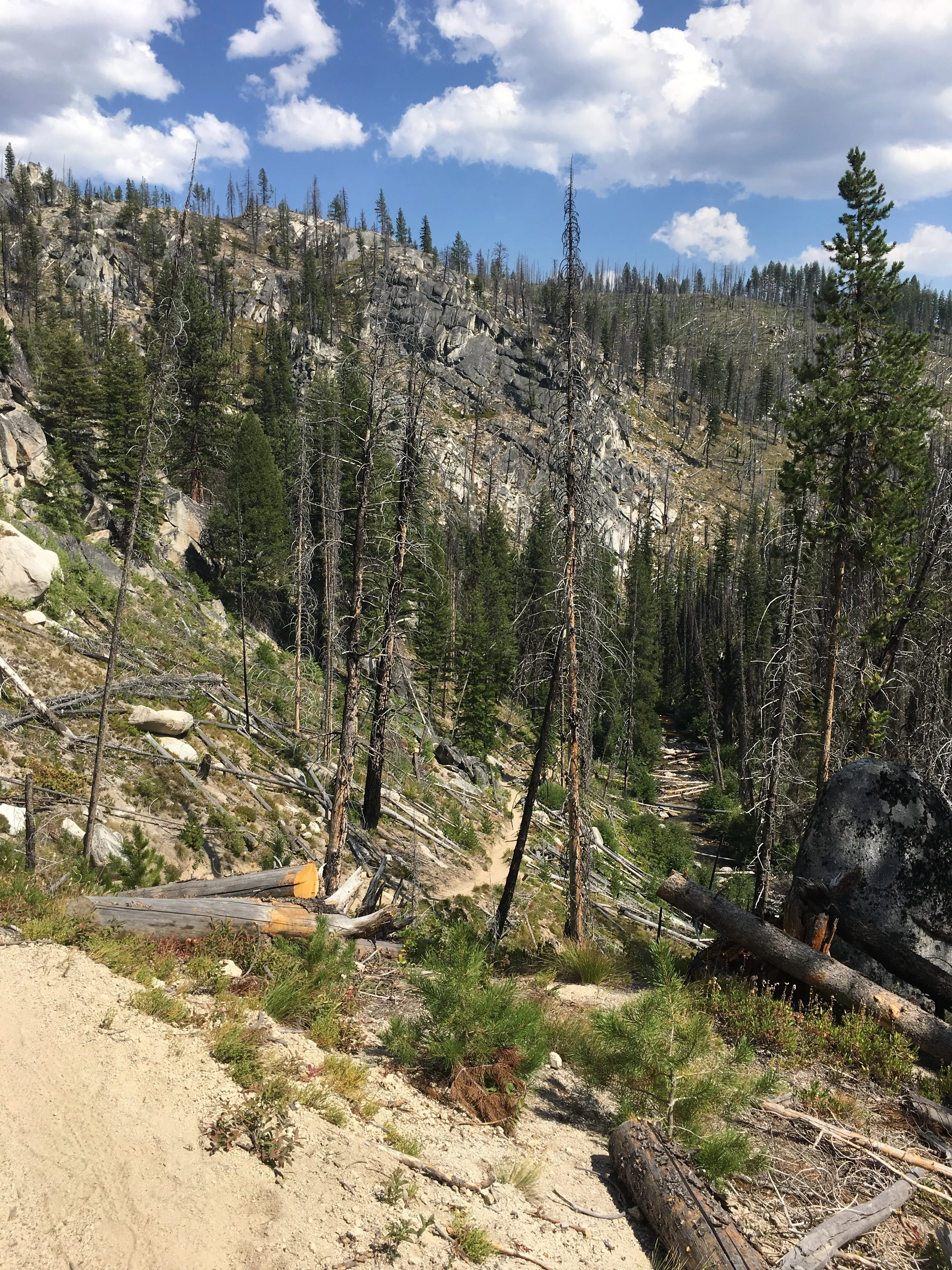 Hike to Loon Lake