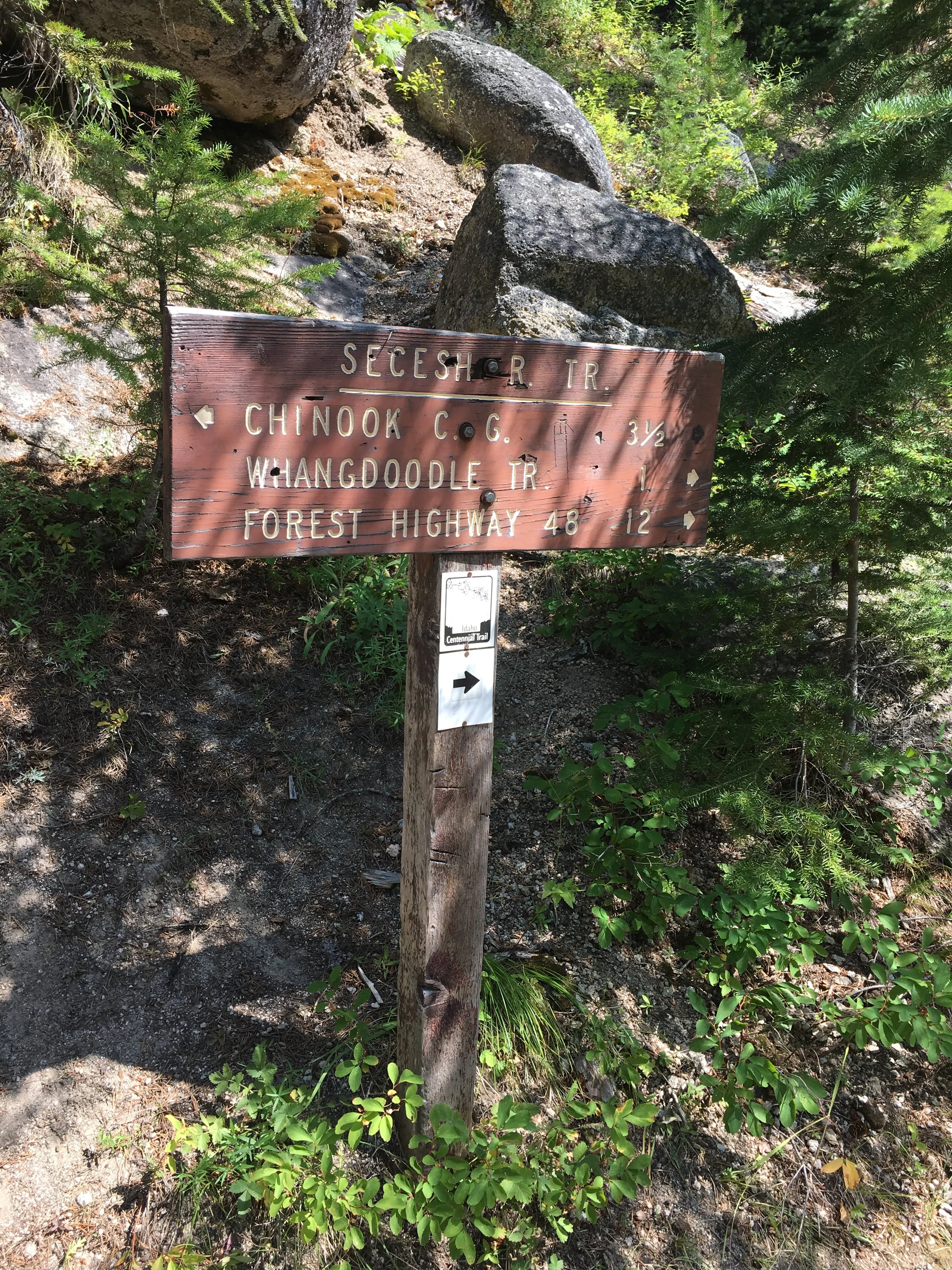 Hike to Loon Lake