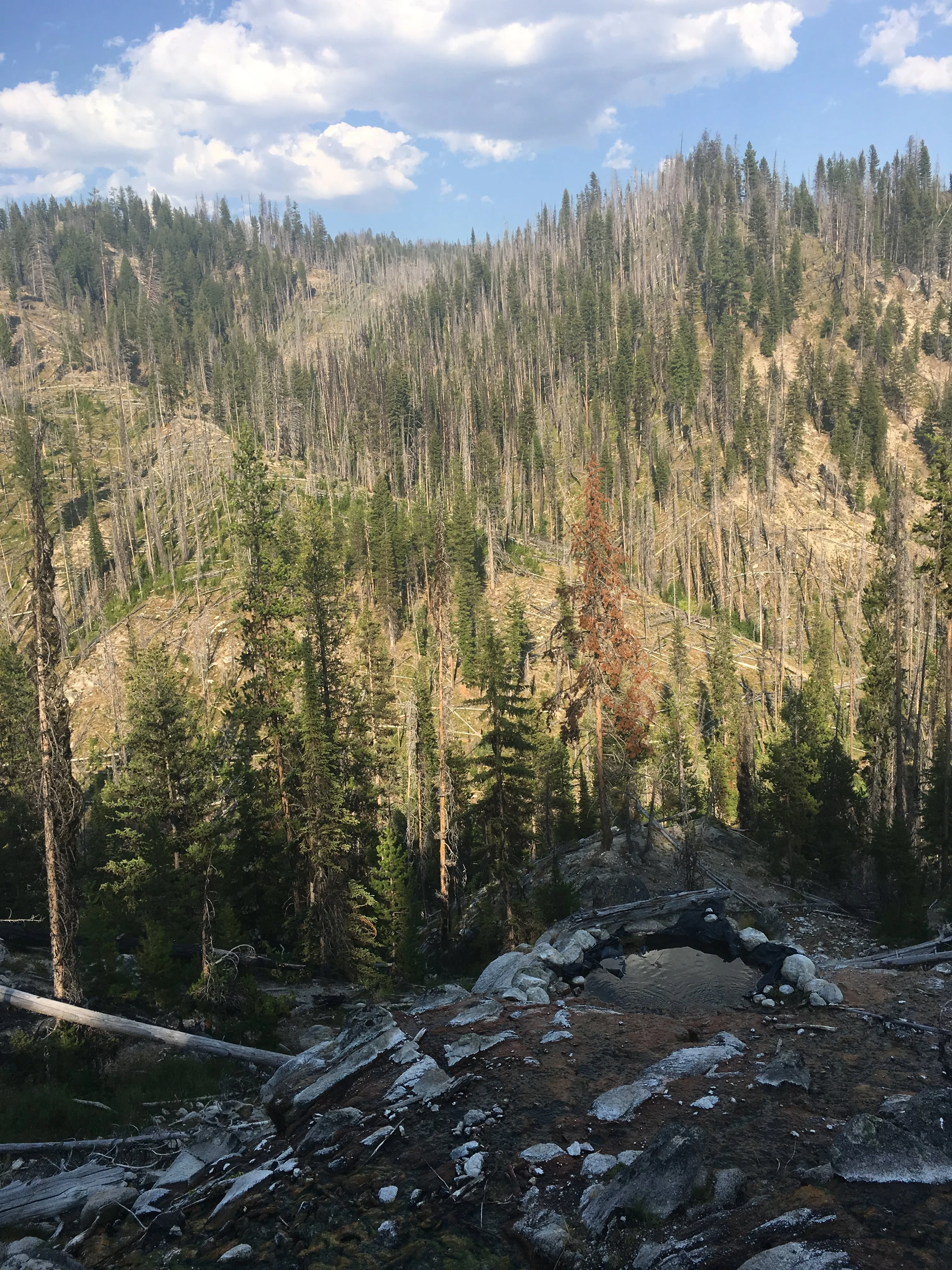 Hike to Loon Lake