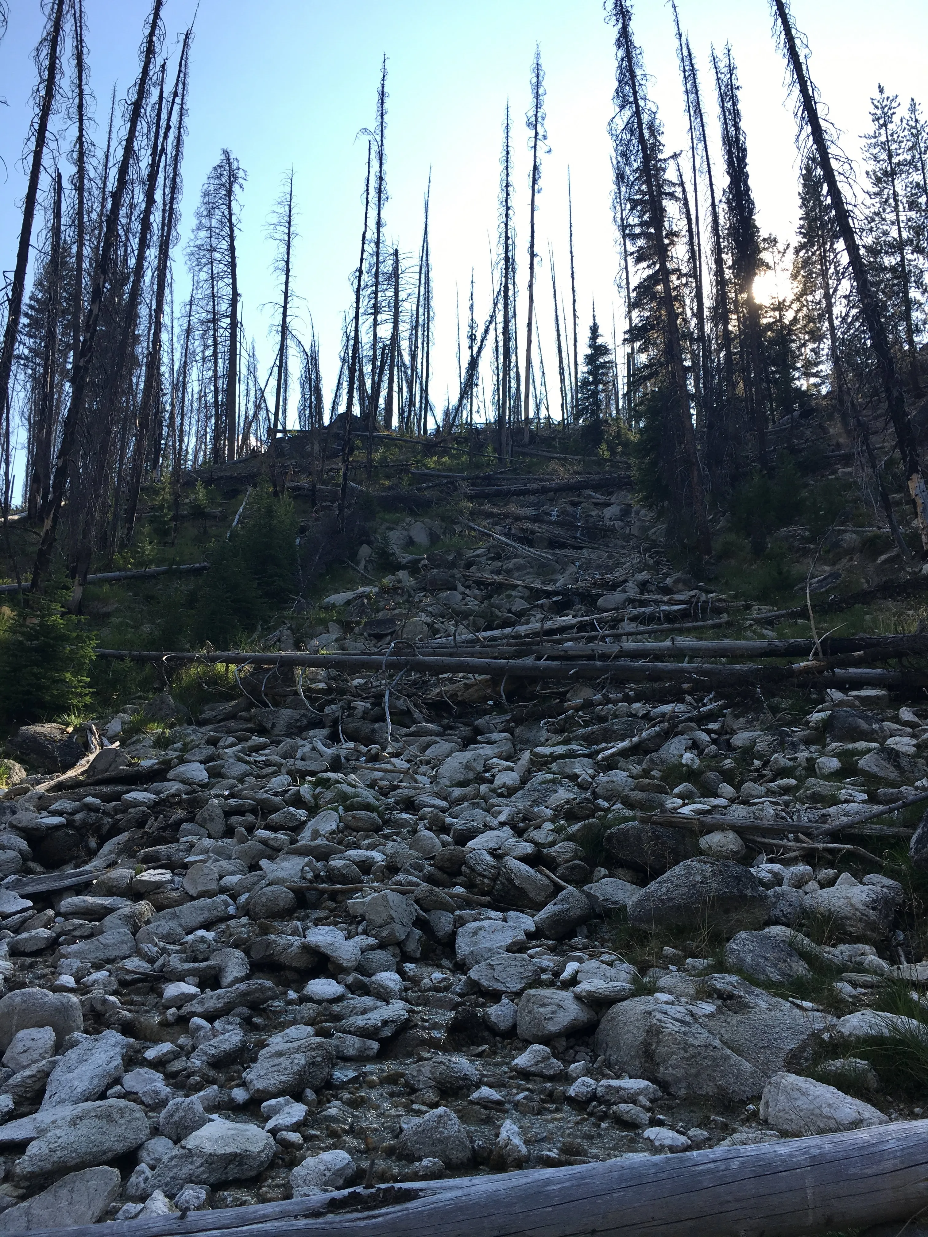 Hike to Loon Lake