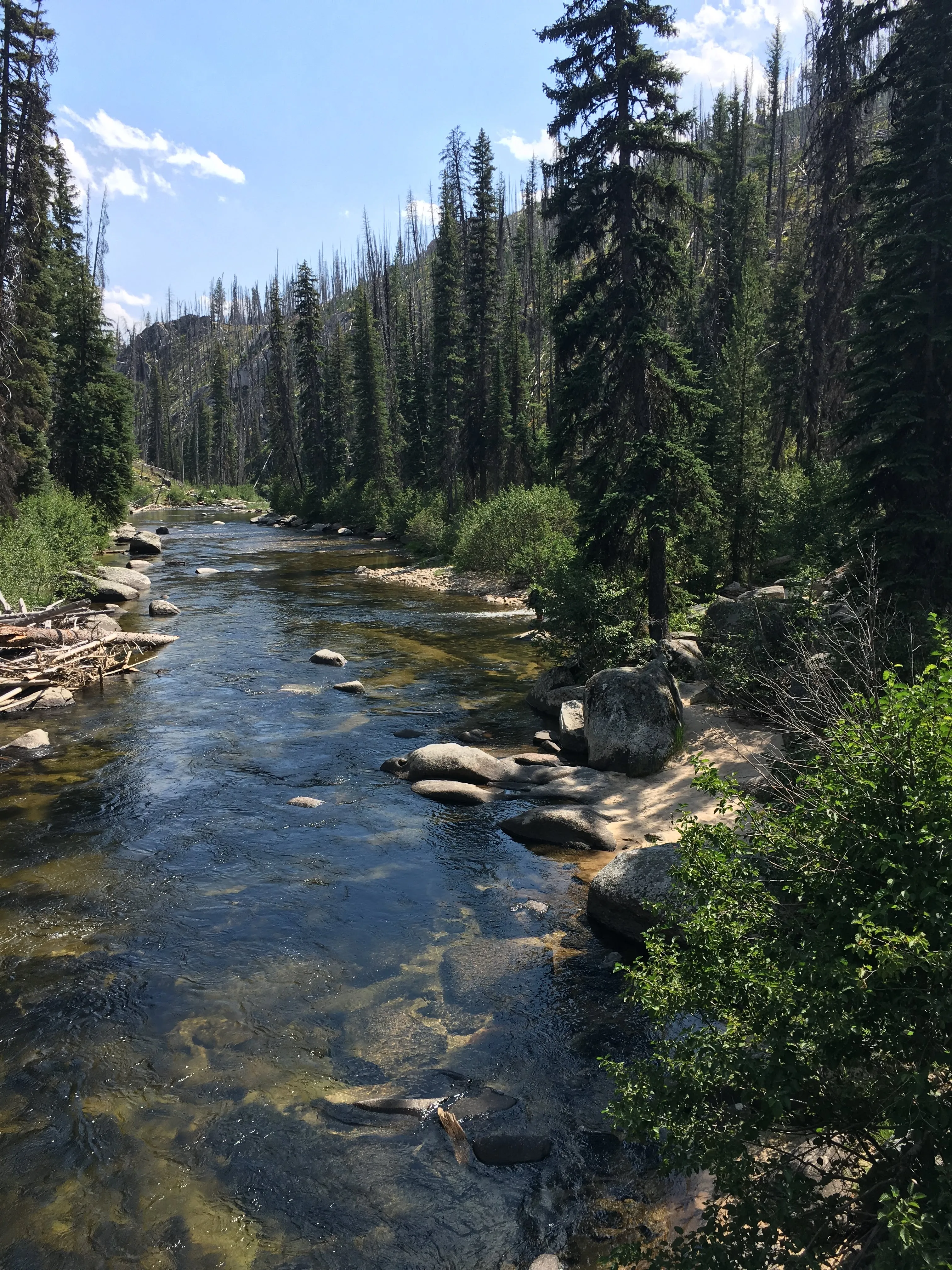 Hike to Loon Lake