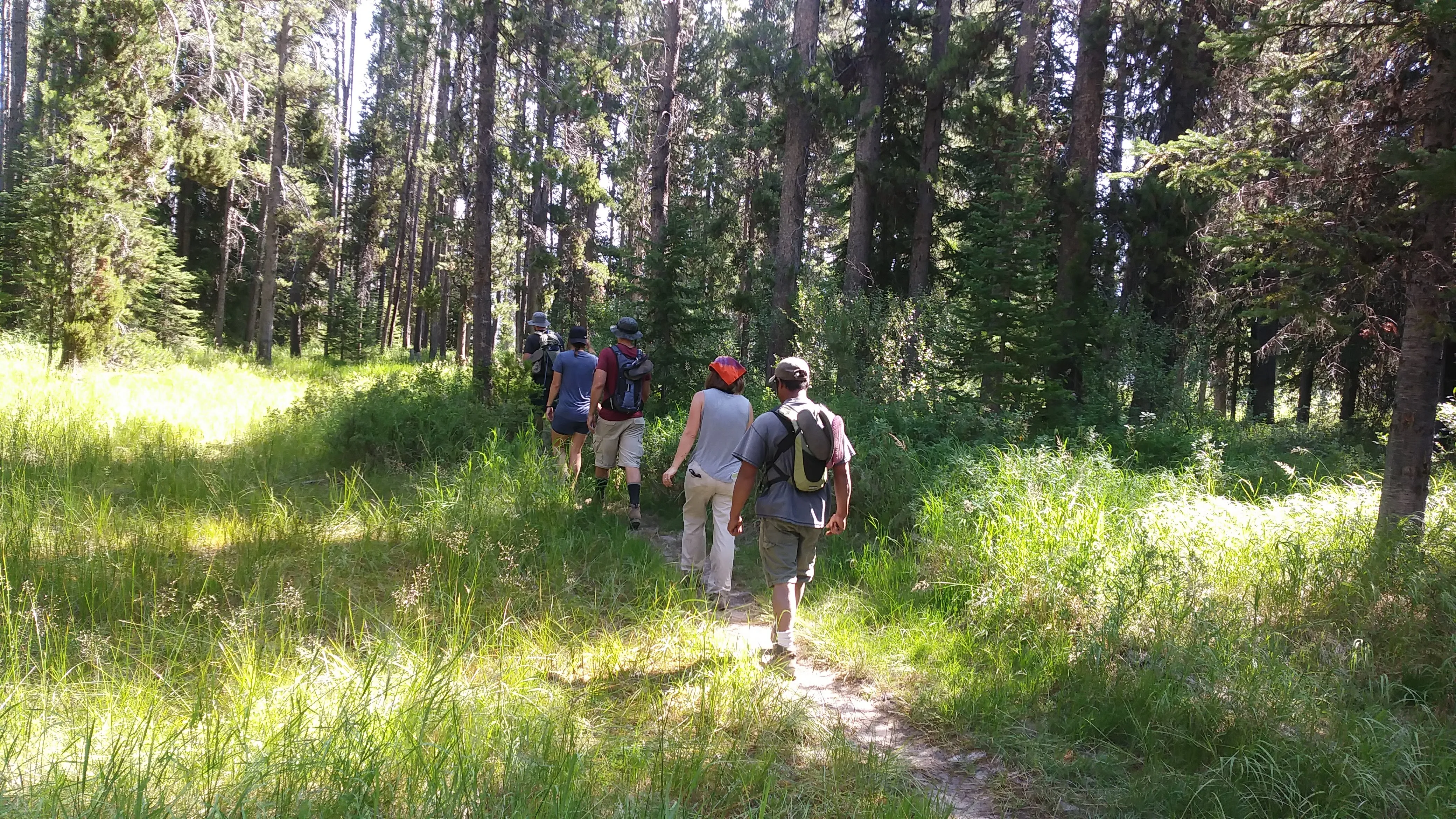 Hike to Loon Lake