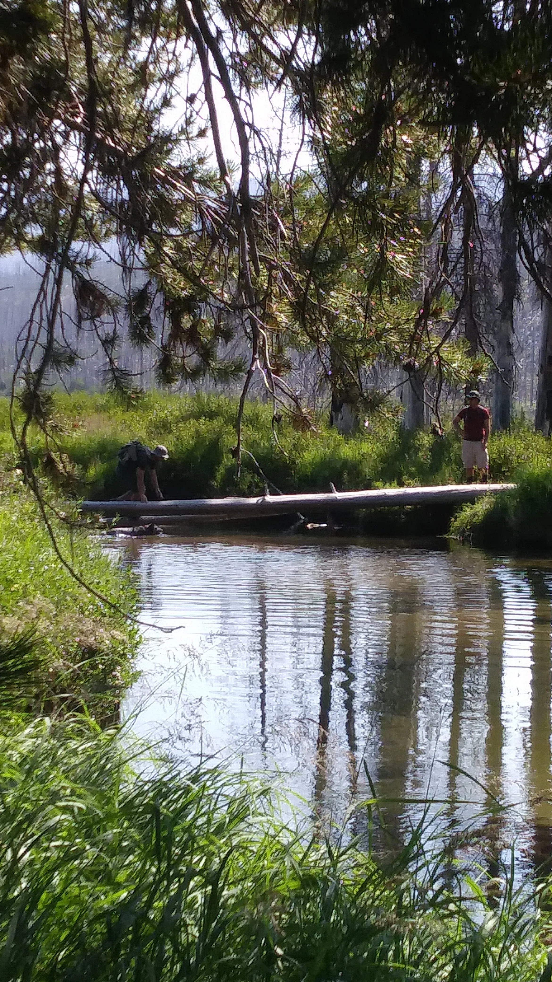 Hike to Loon Lake