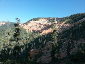 Hike the Cascades Trail in Dixie National Forest