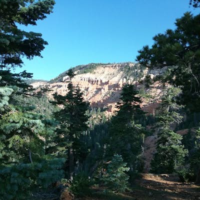 Hike the Cascades Trail in Dixie National Forest