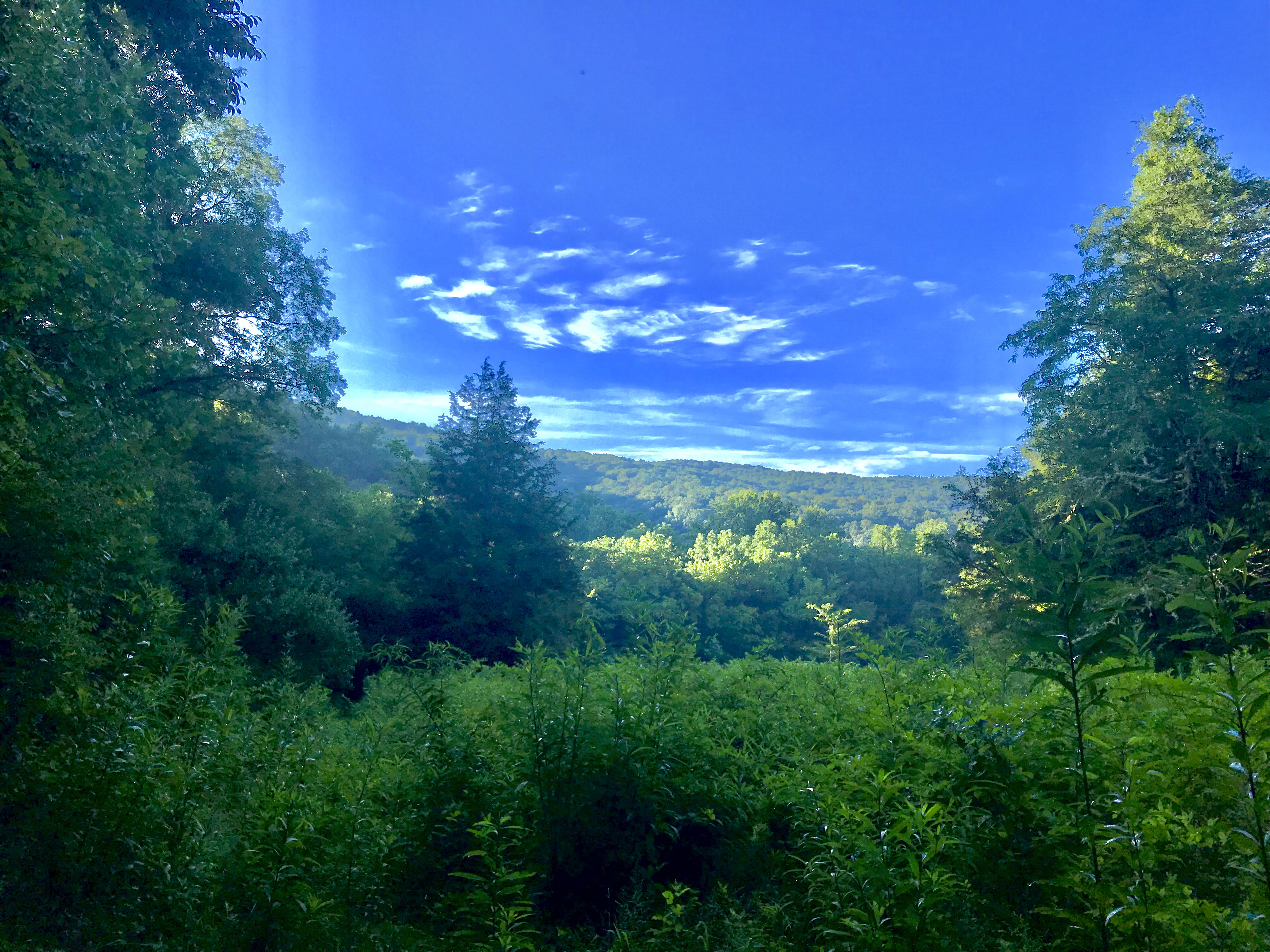 Walls of Jericho via Alabama Trailhead
