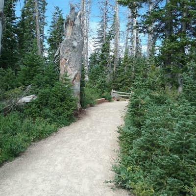 Hike the Sunset Trail, Cedar Breaks National Monument