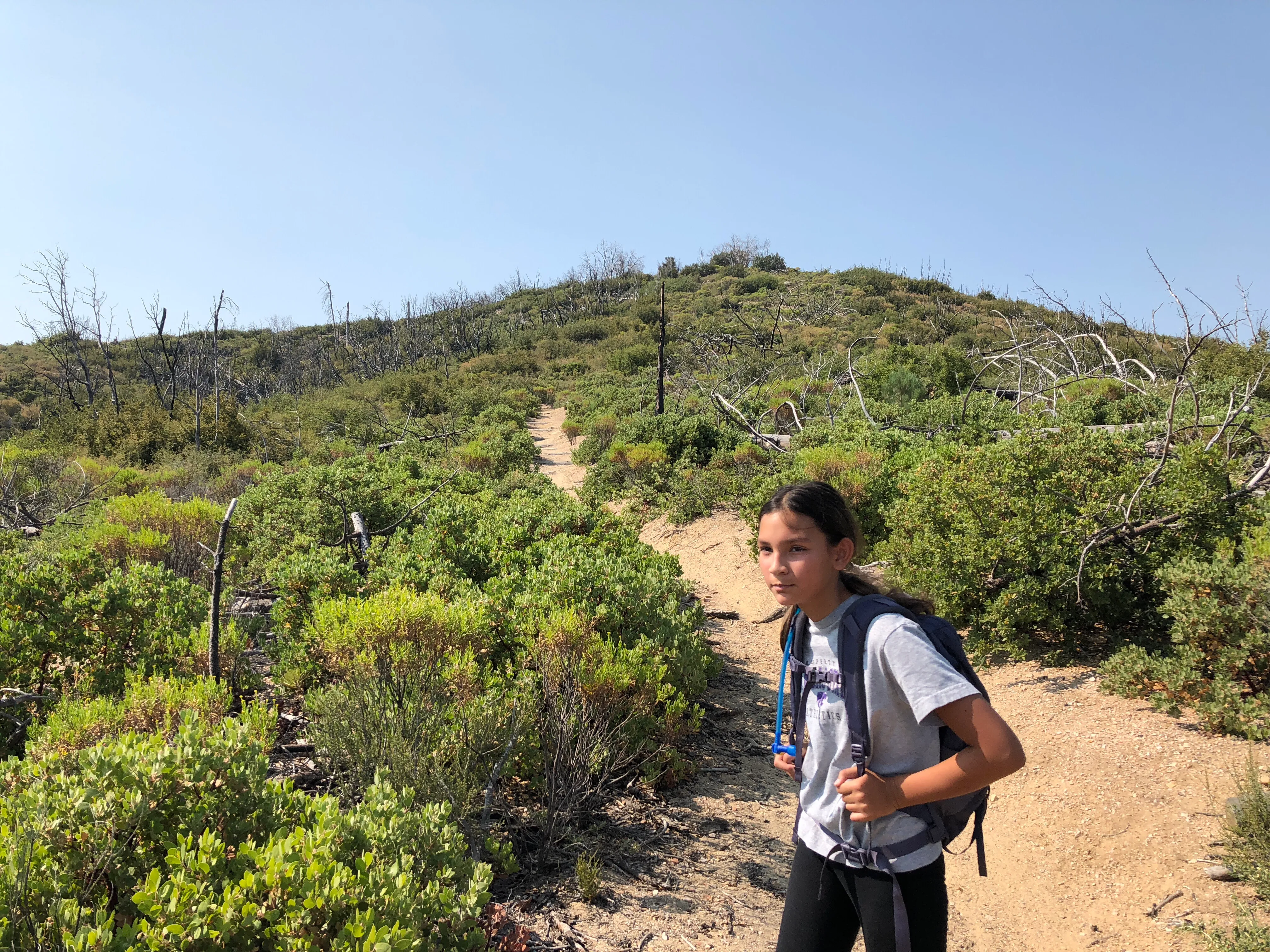 Hike to Vetter Mountain and the Fire Lookout Tower
