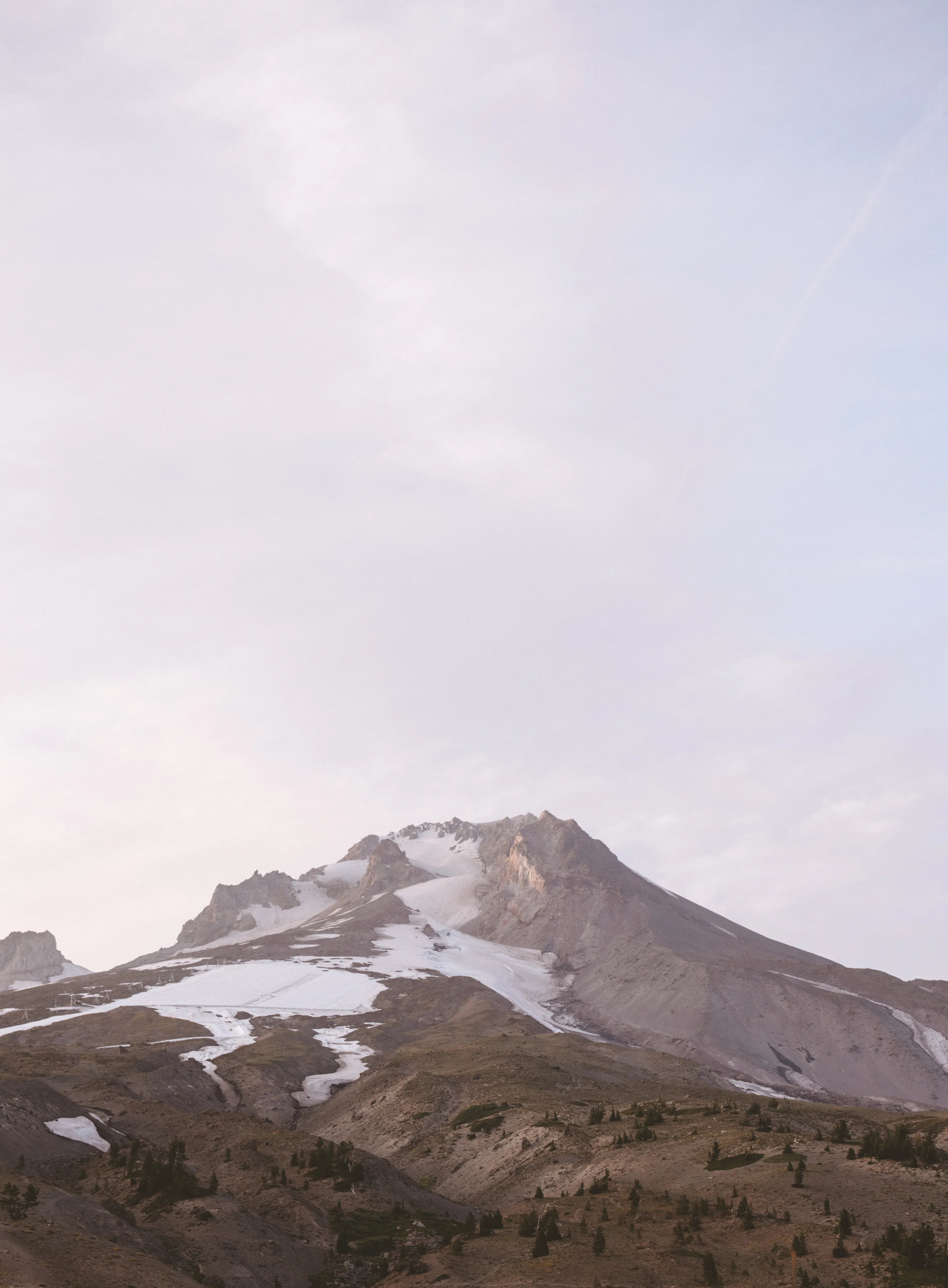 Photograph the Wildflowers at Timberline Lodge
