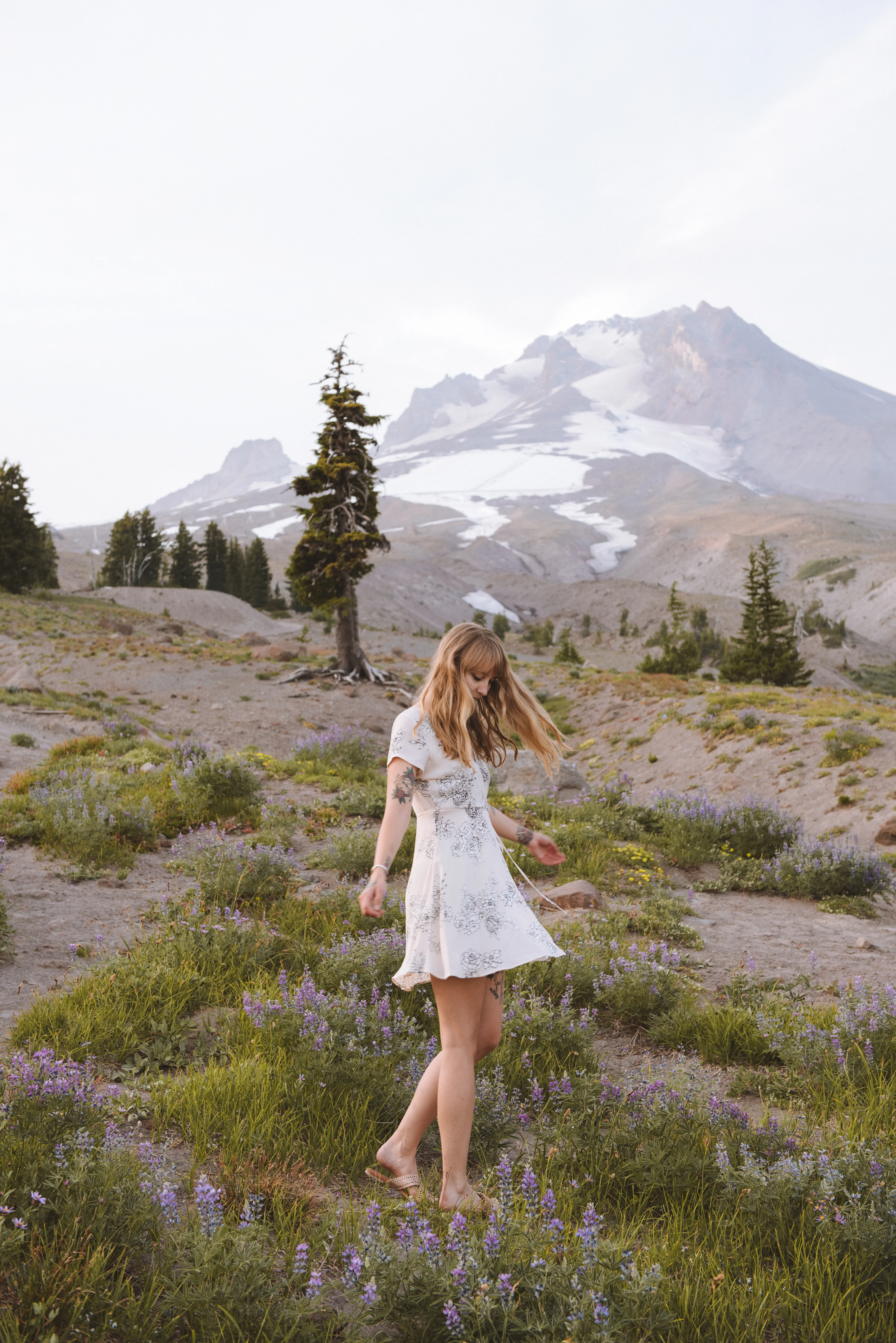 Photograph the Wildflowers at Timberline Lodge