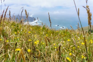 Hike to Cascade Head
