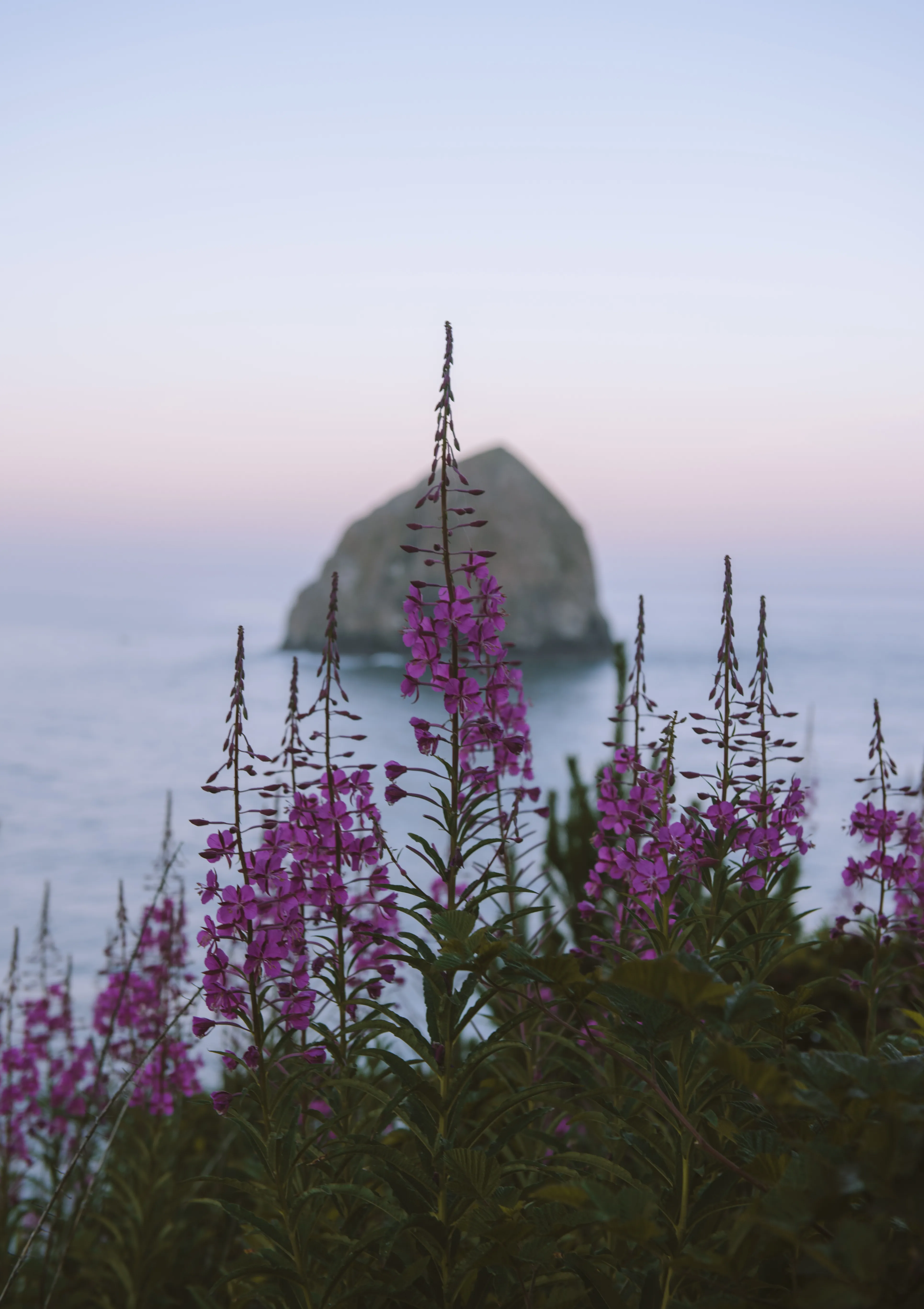 Explore Cape Kiwanda