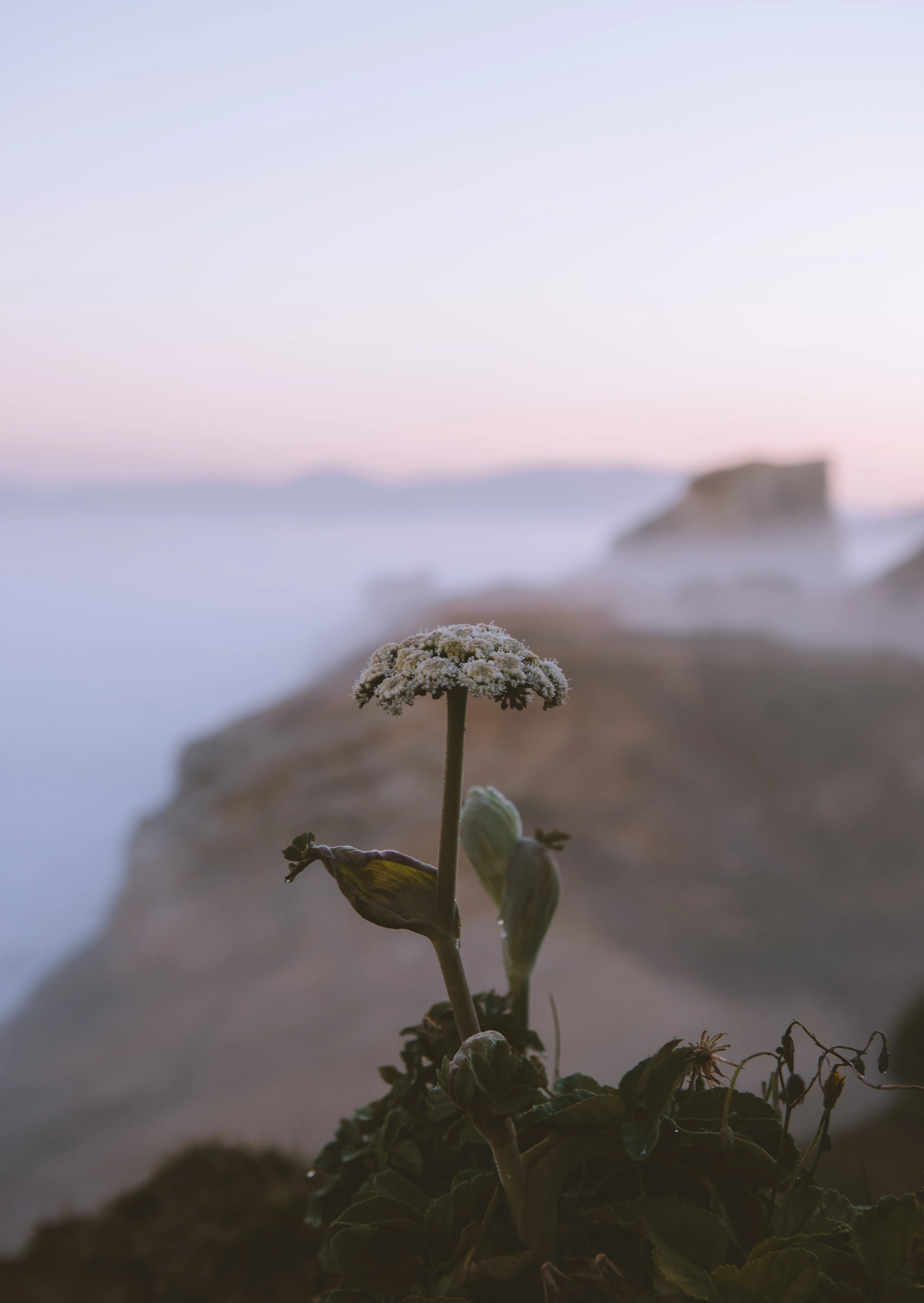Explore Cape Kiwanda