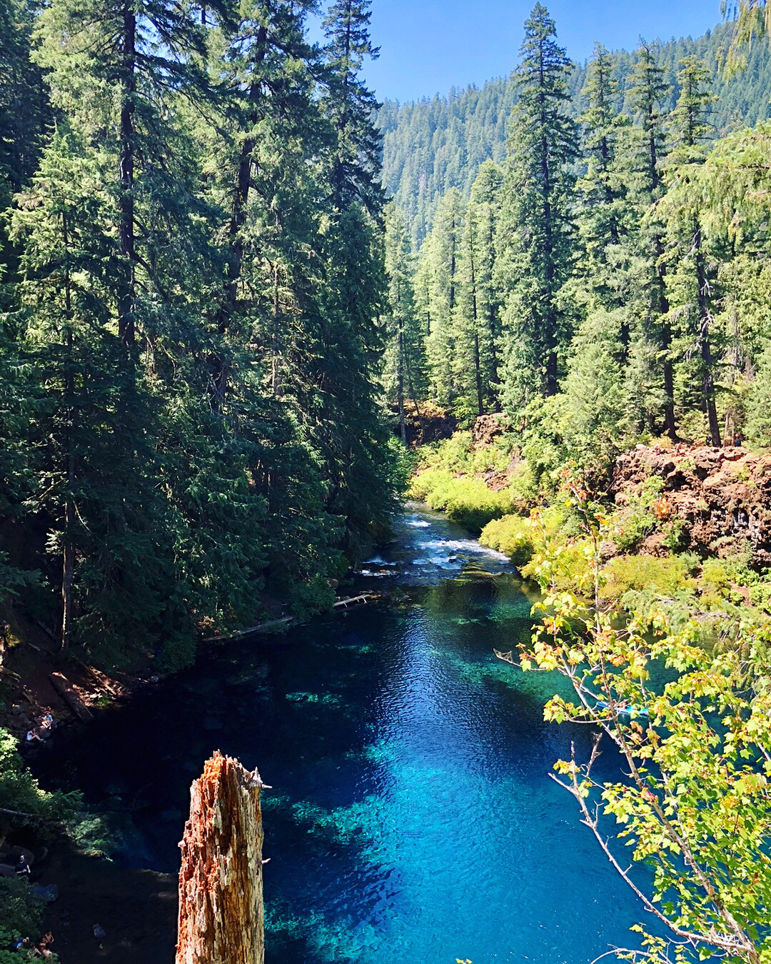 Tamolitch Blue Pool