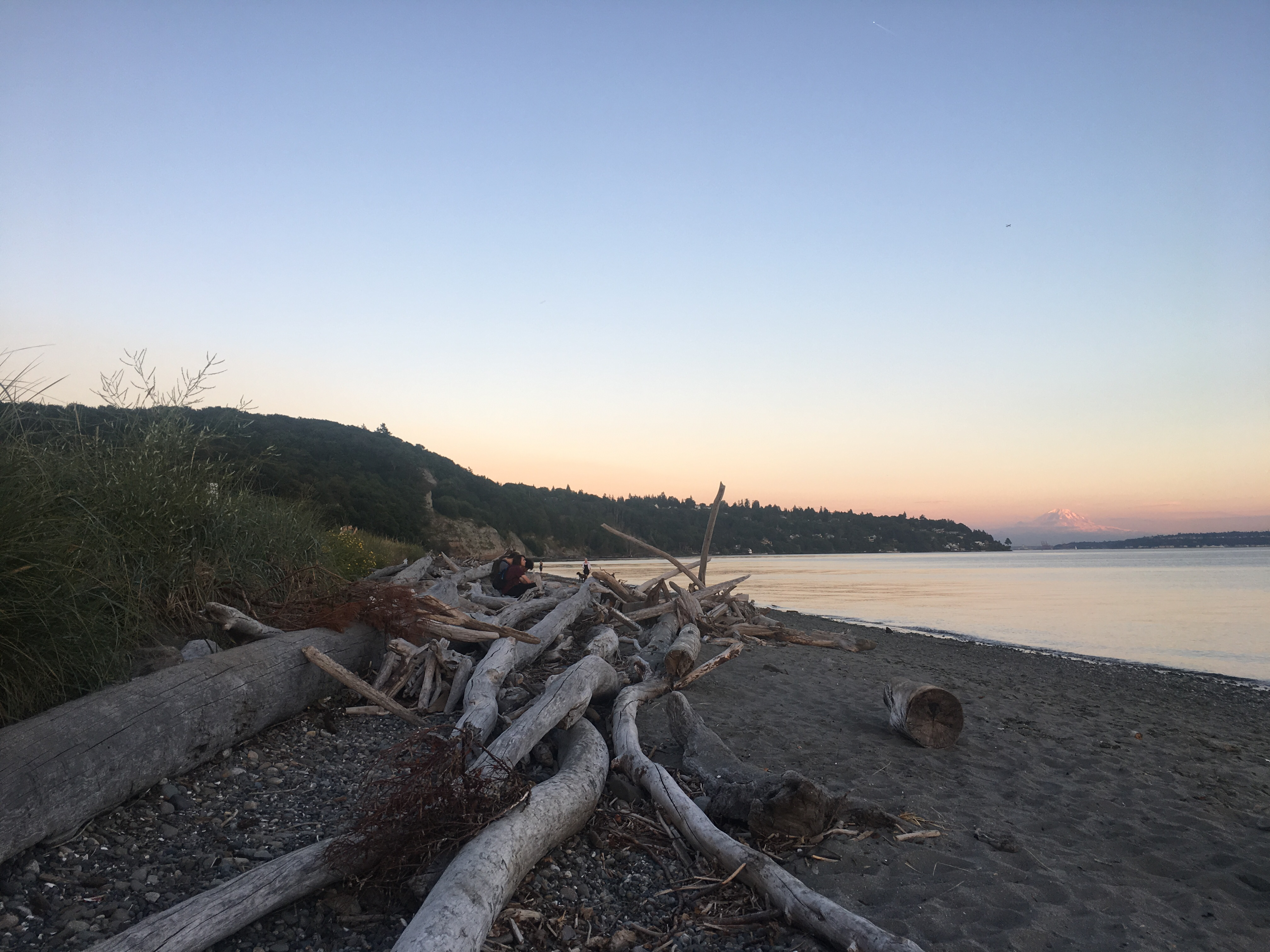 Discovery Park Beach