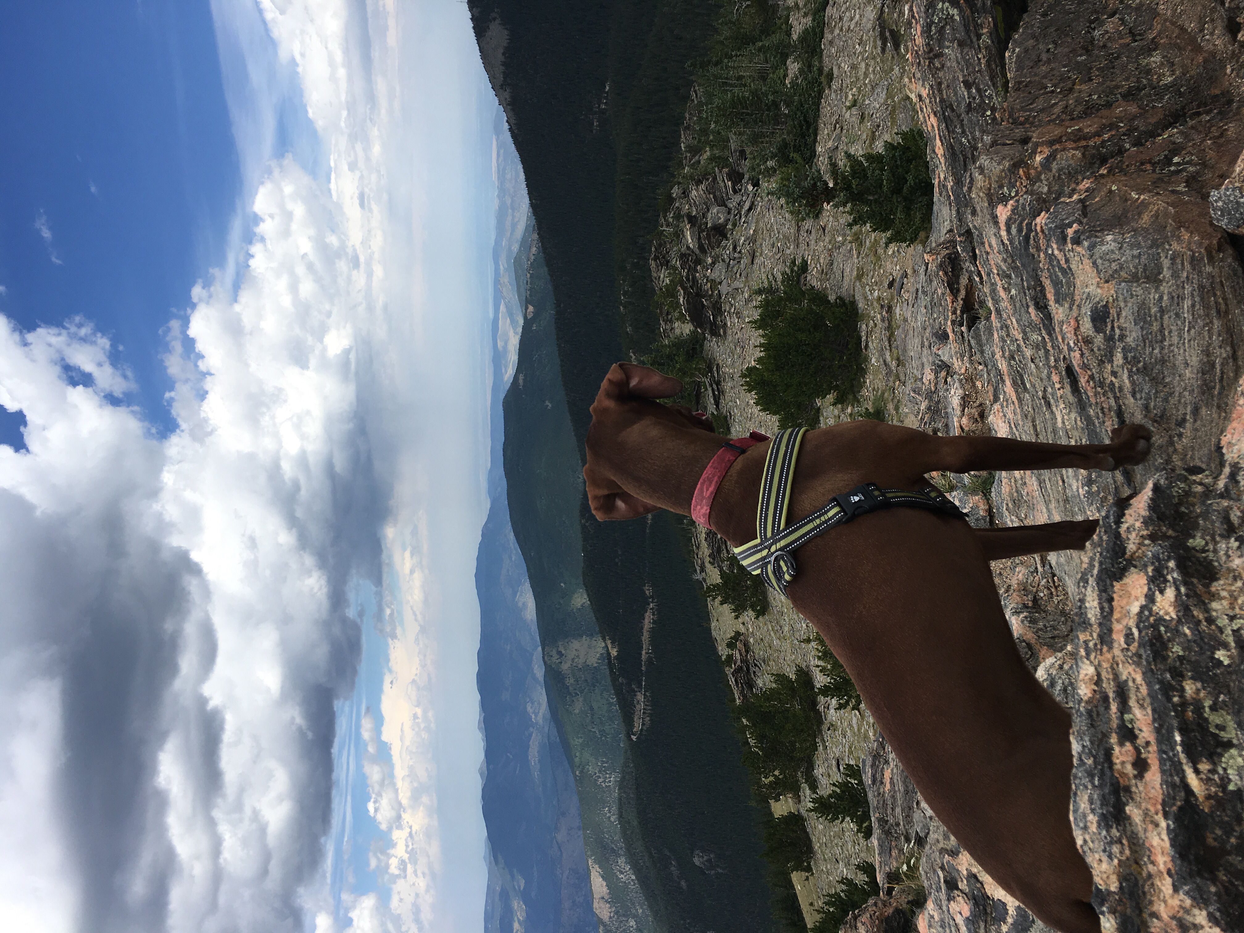Chief Mountain Trail