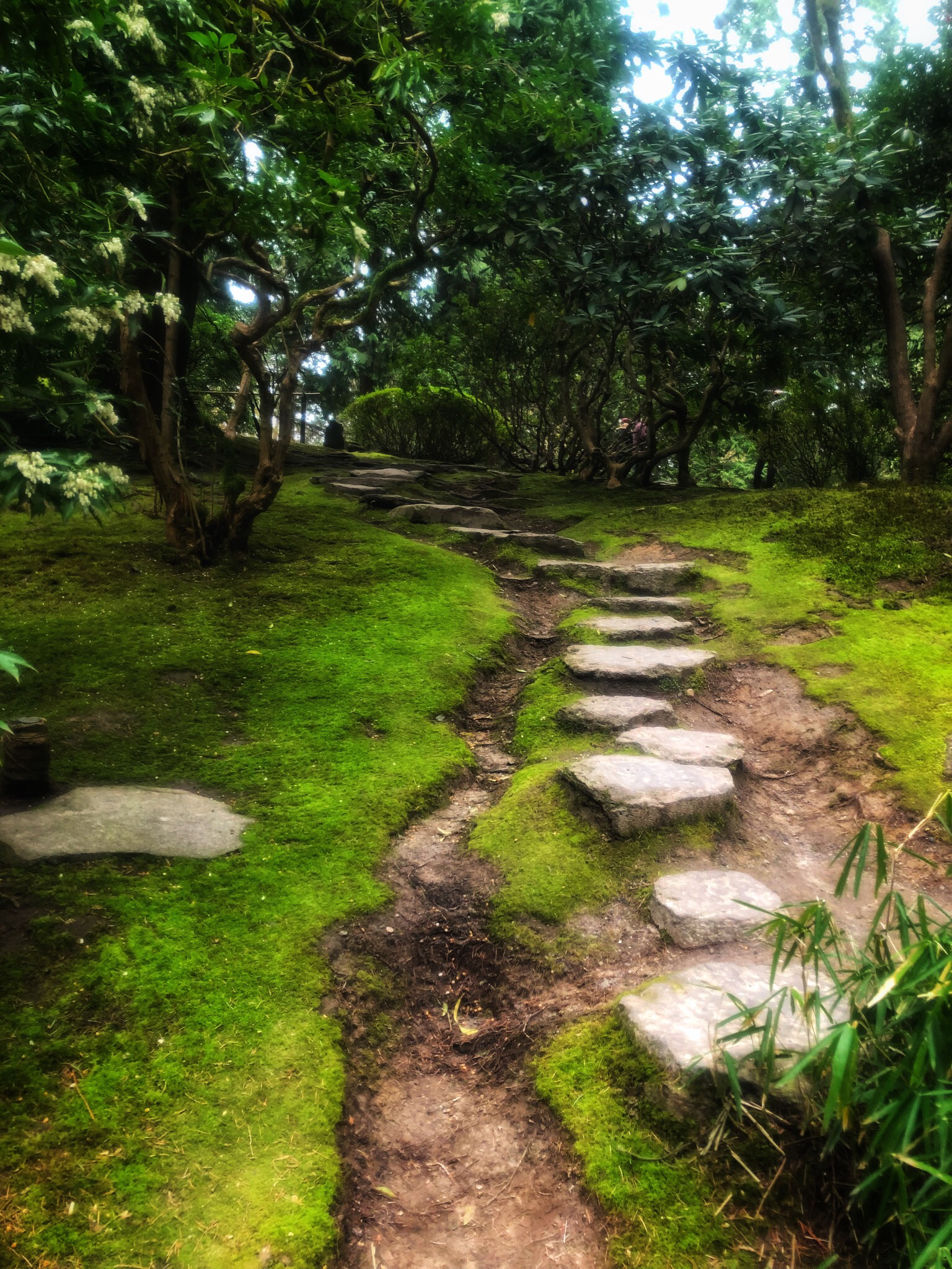 Portland Japanese Garden