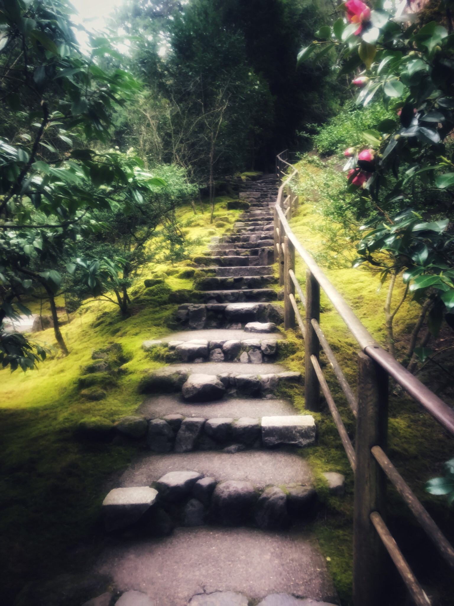 Portland Japanese Garden