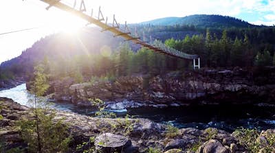 Kootenai Falls and Swinging Bridge