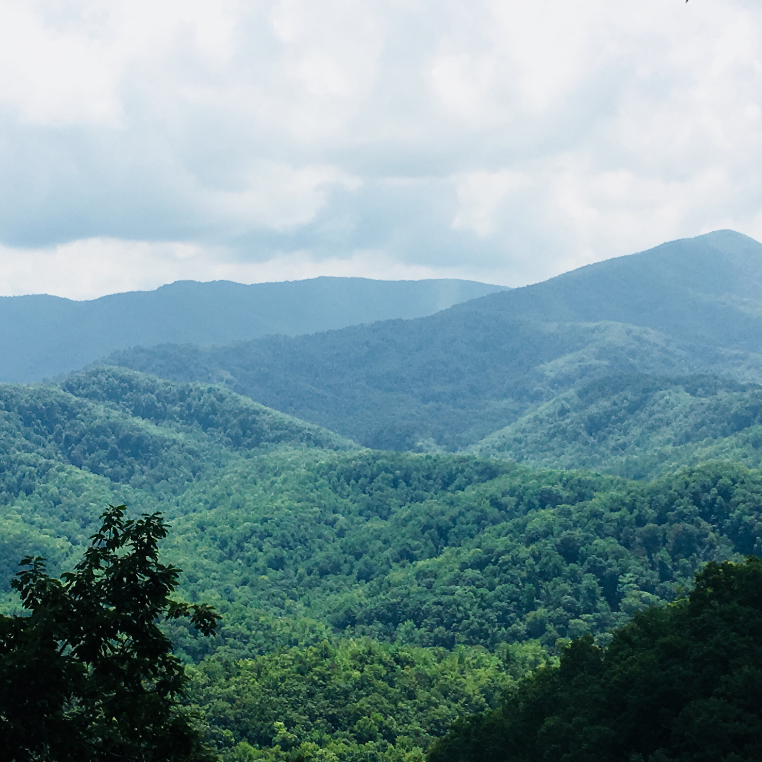 Laurel Falls Trail