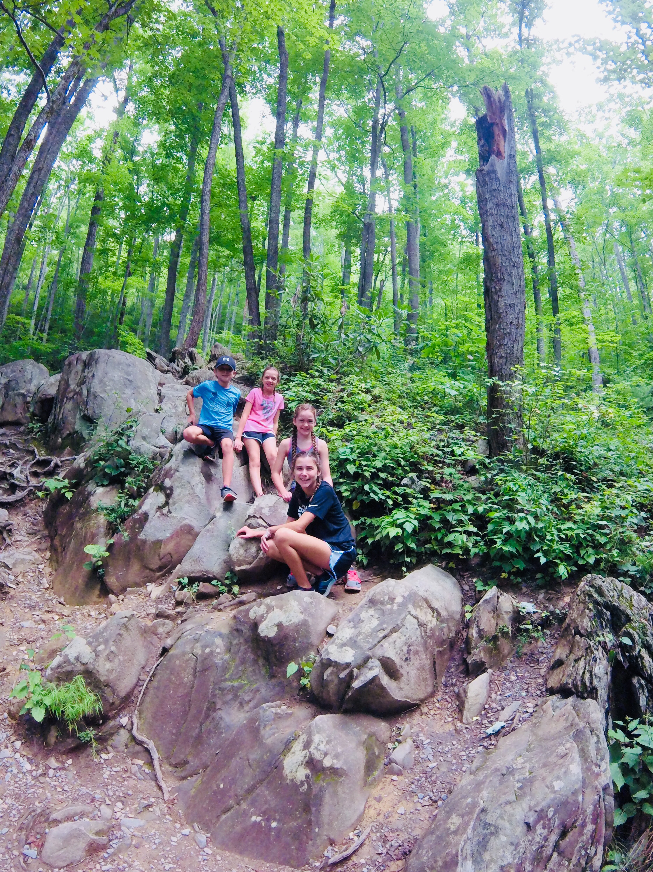 Laurel Falls Trail