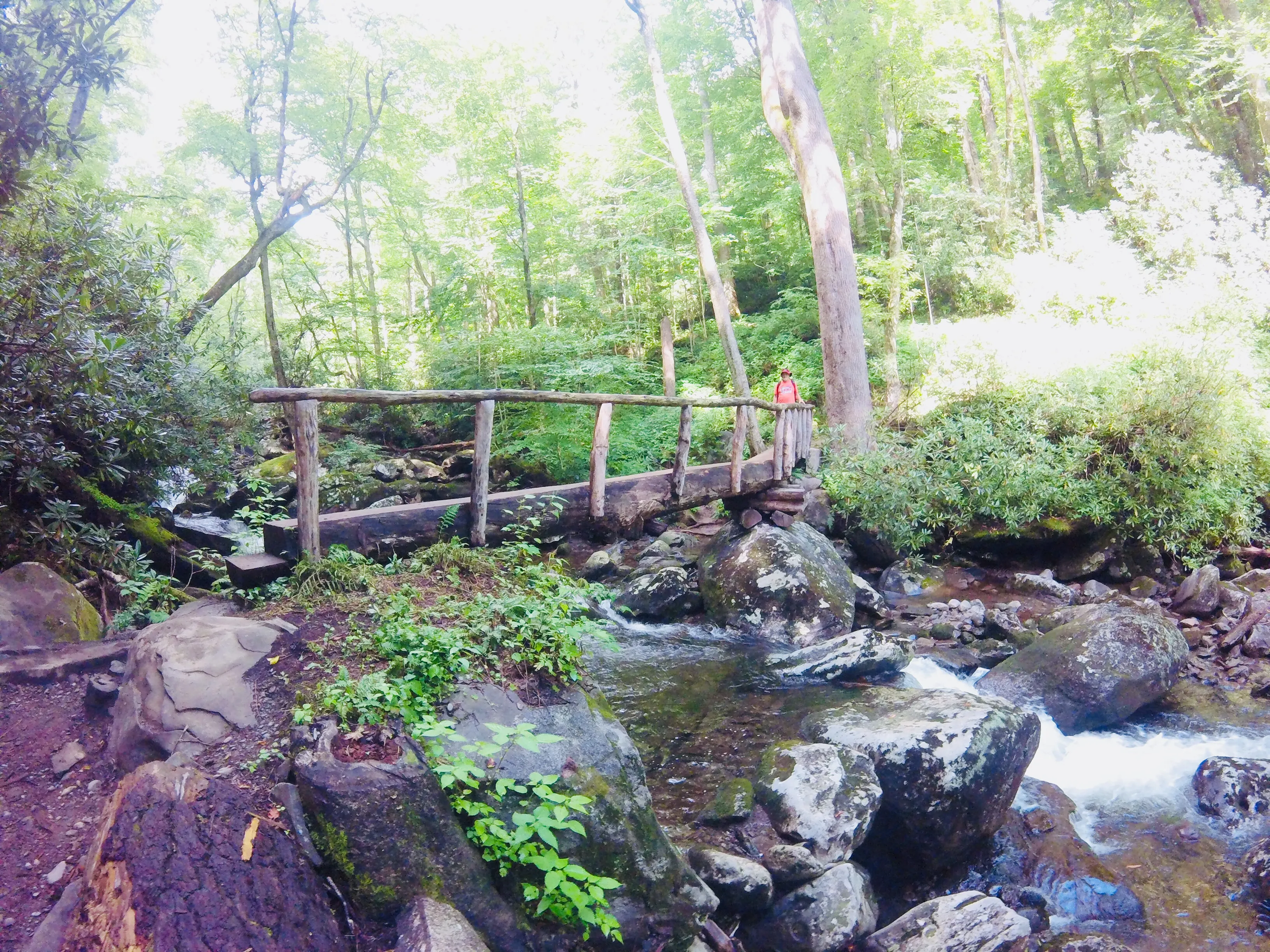 Hike to the Ramsey Cascades