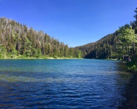 Pick Huckleberries at Reservoir Lake