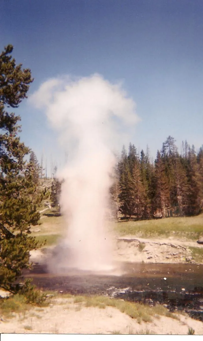 Old Faithful