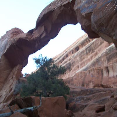 Hike Devils Garden Primitive Loop in Arches