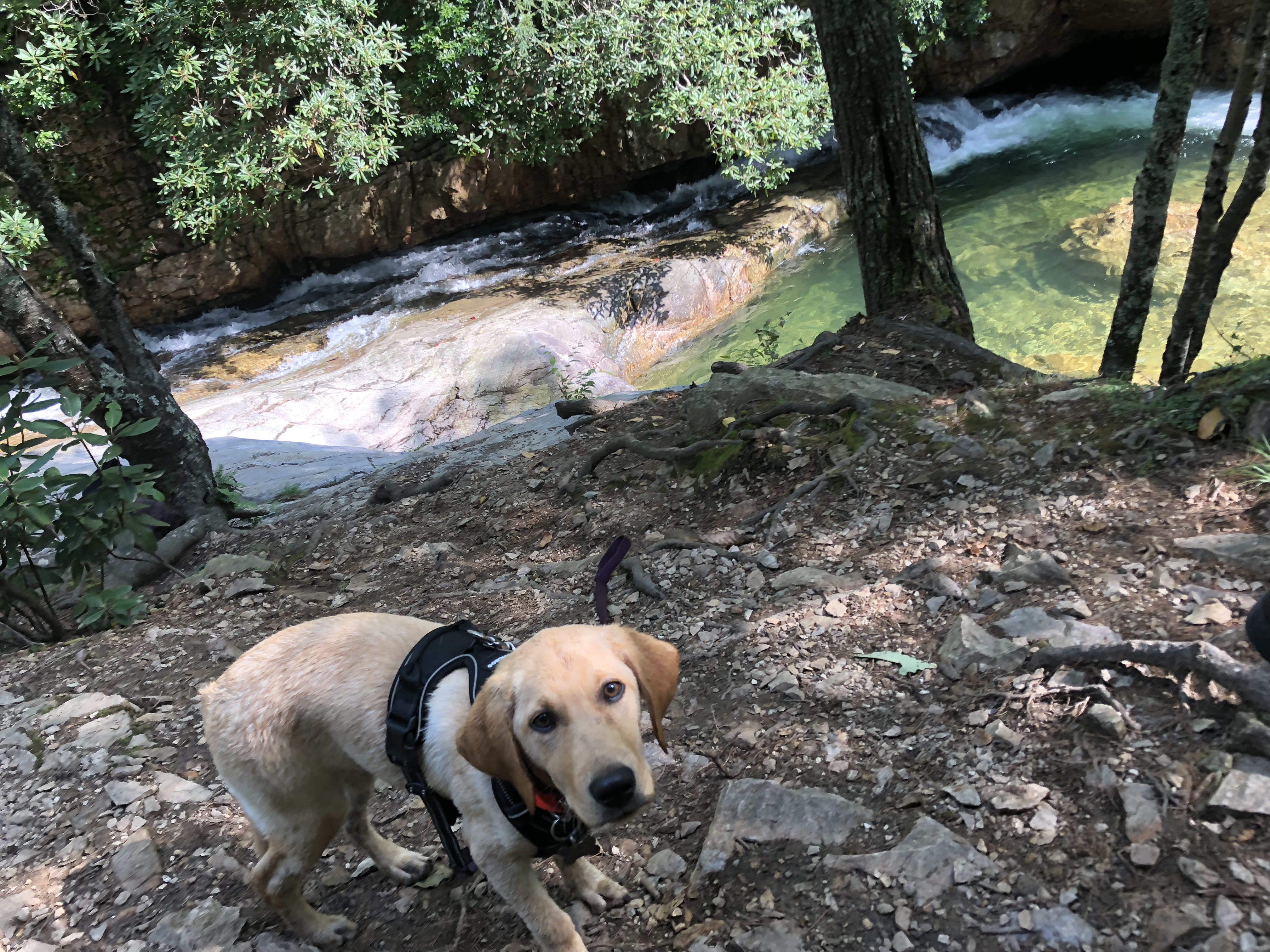 Hike to Saint Mary's Falls