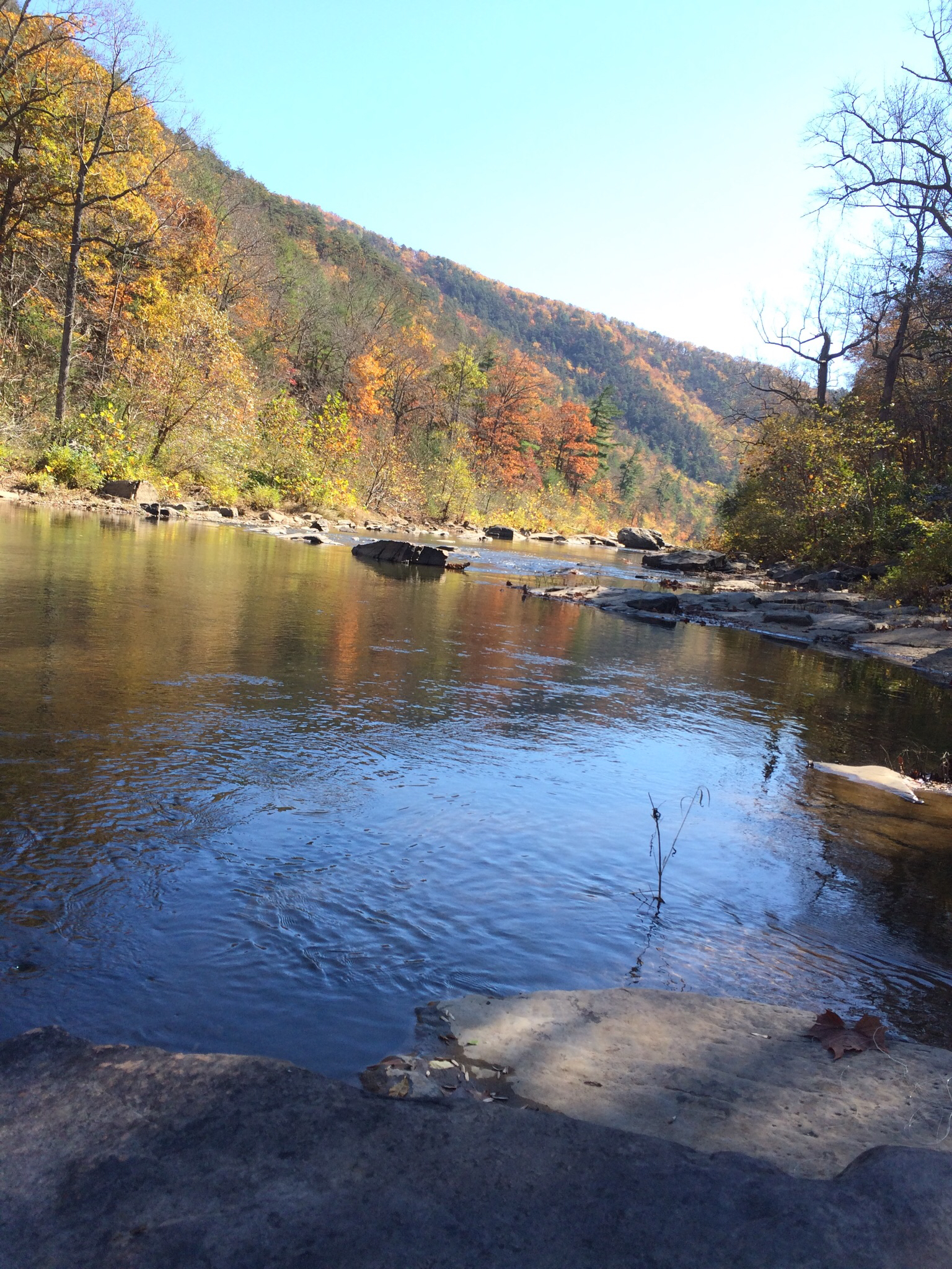 Fly Fish Goshen Pass