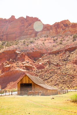 Explore the Orchards and Gifford House of Capitol Reef 