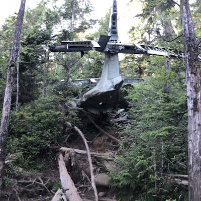 Hike to the Bomber Plane Crash Site in Tofino, BC