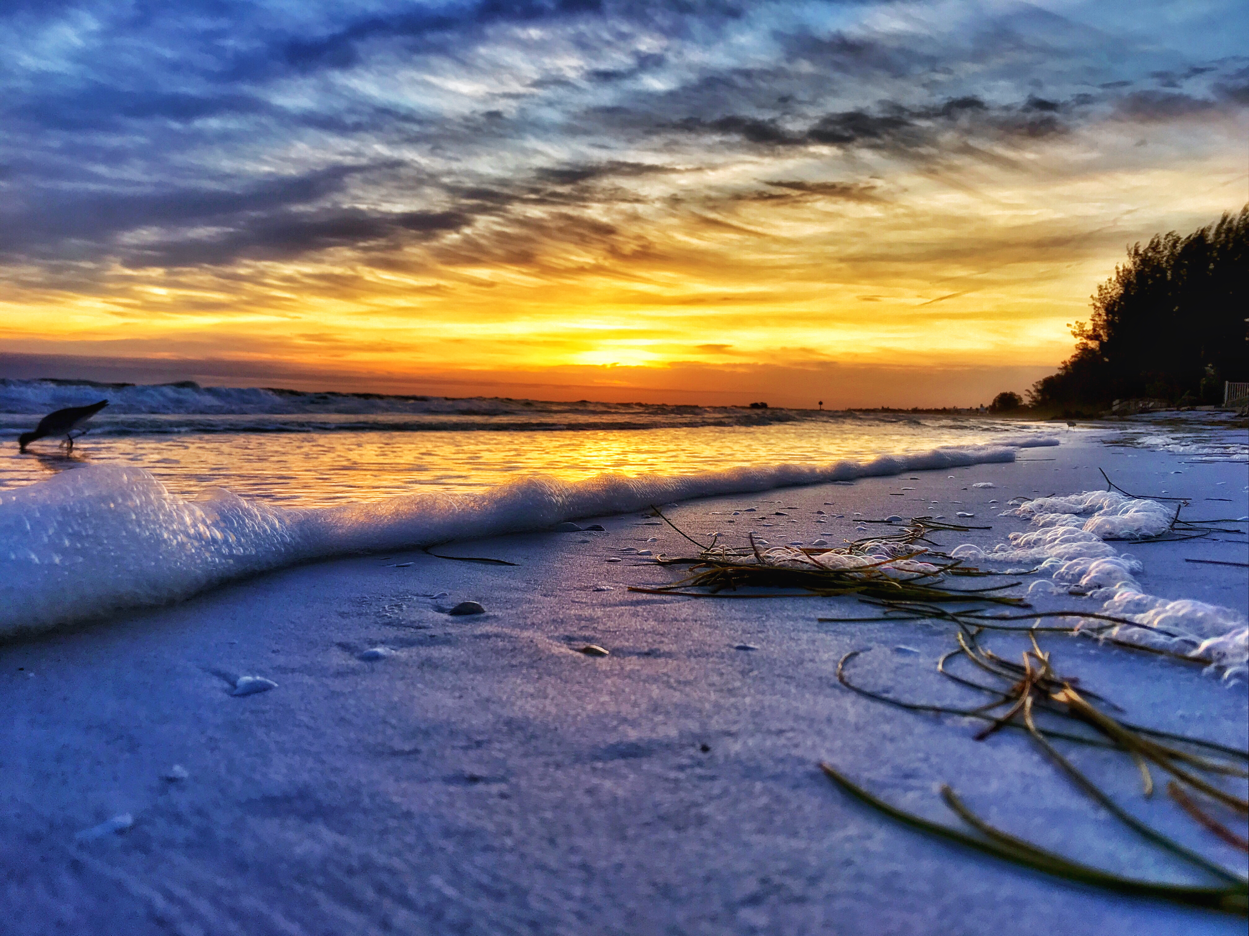 Catch the Sunrise at Rod & Reel Pier
