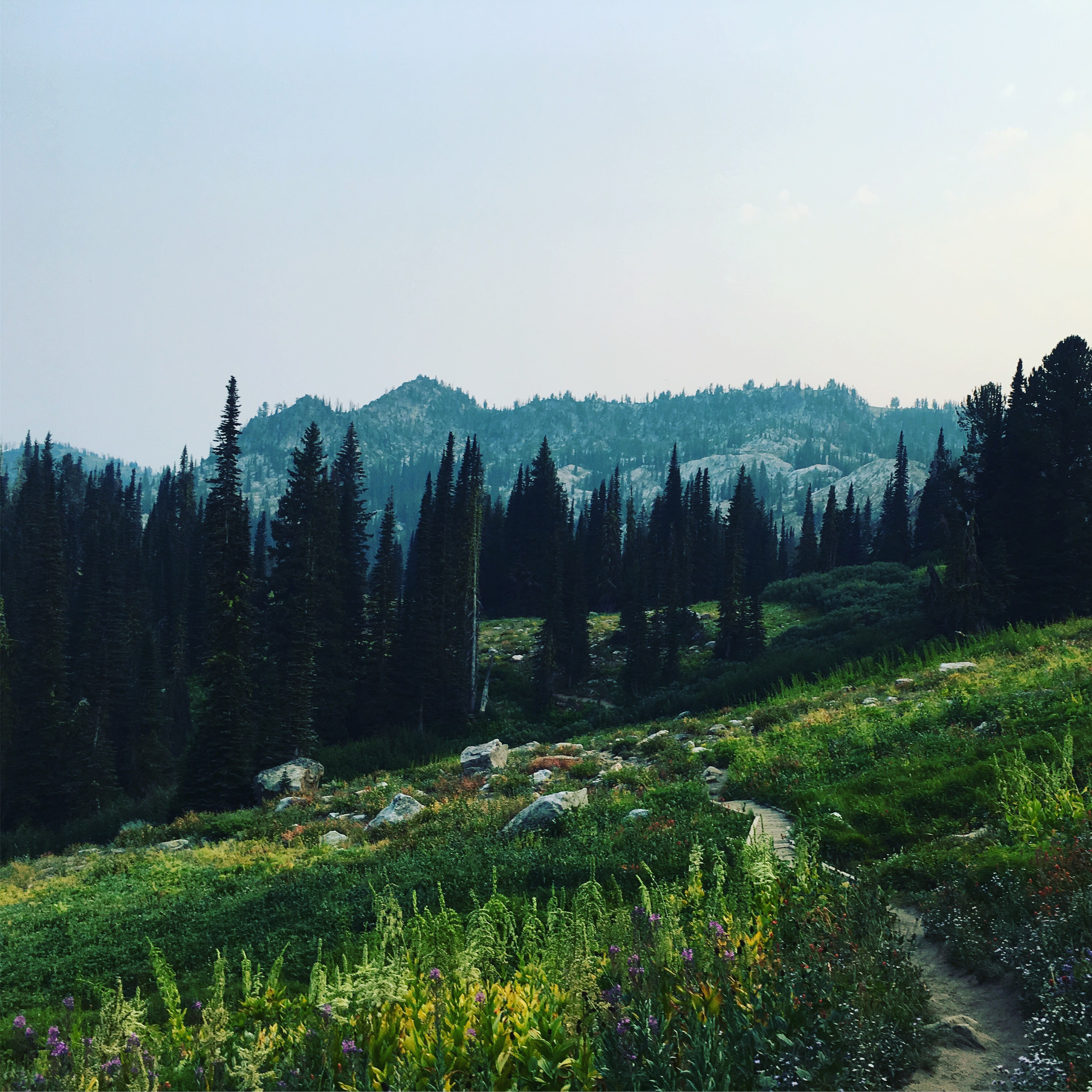 Camp at Blue Lake