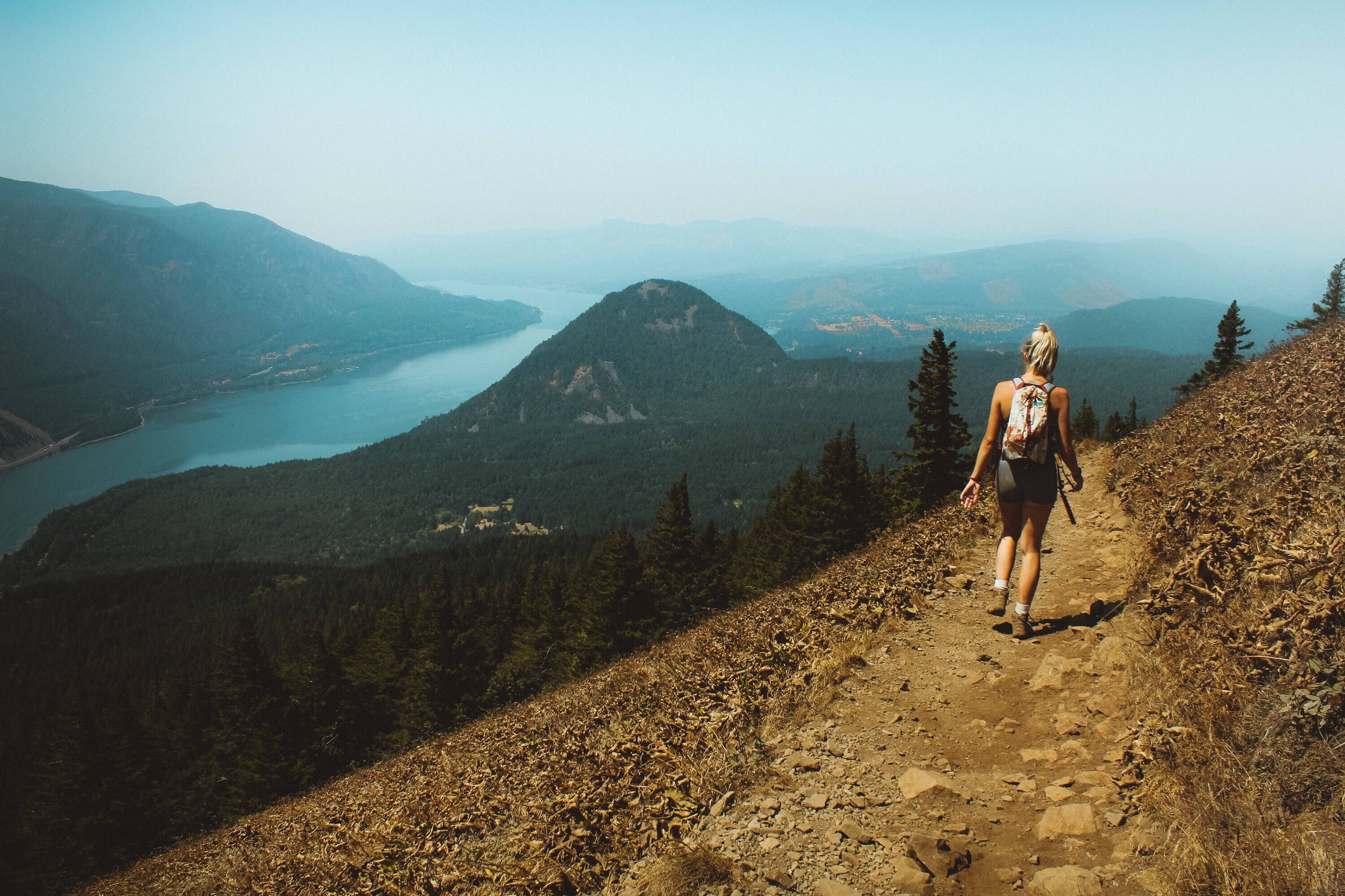 Dog Mountain via Dog Mountain Trail