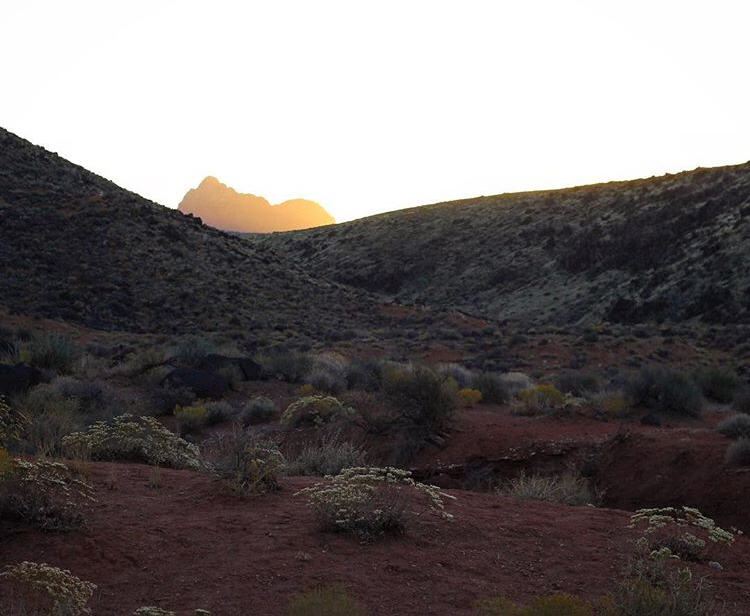 Camp on Dalton Wash Road