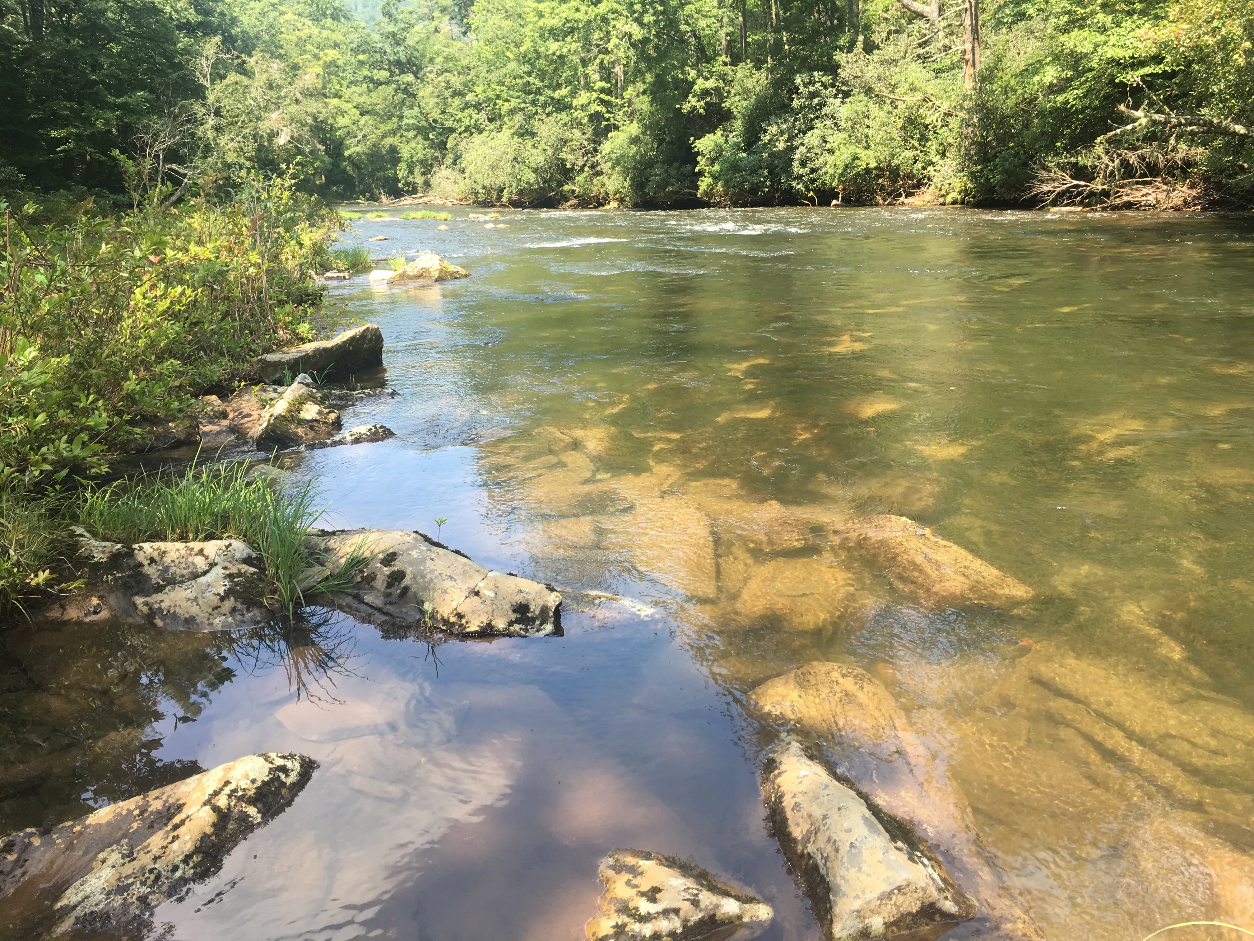 Hike along the Chattooga River to Spoonauger Falls
