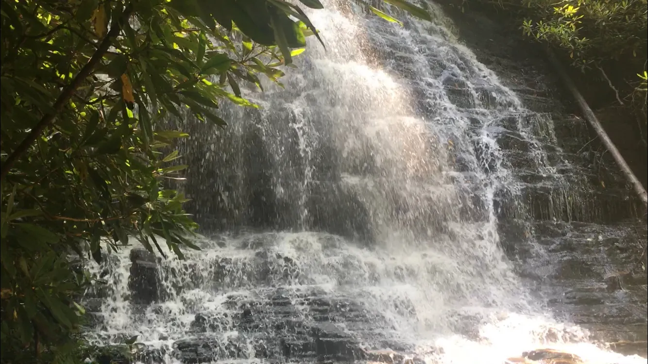Hike along the Chattooga River to Spoonauger Falls