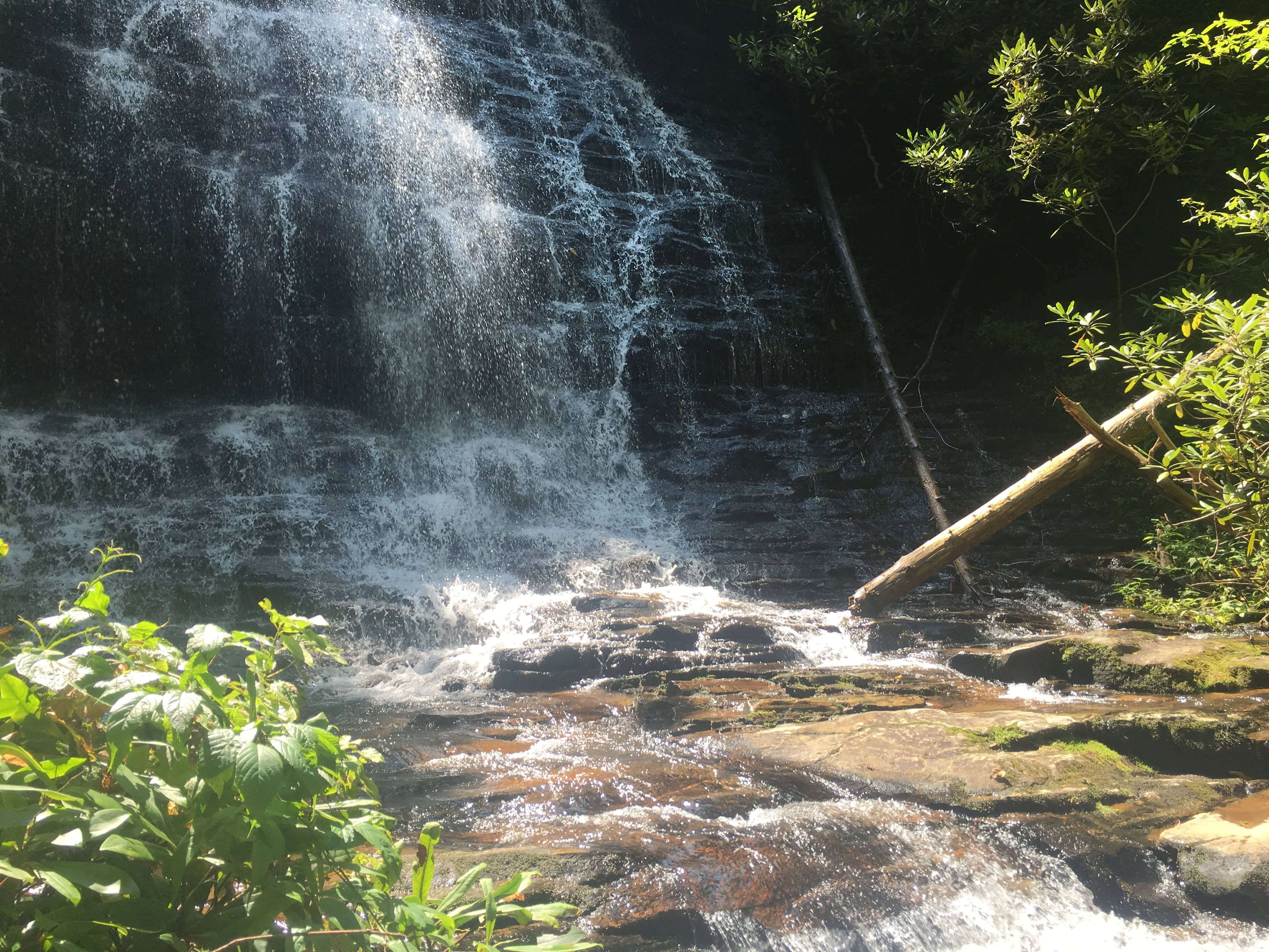 Hike along the Chattooga River to Spoonauger Falls