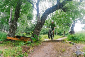 Mountain Bike at Kincaid Park