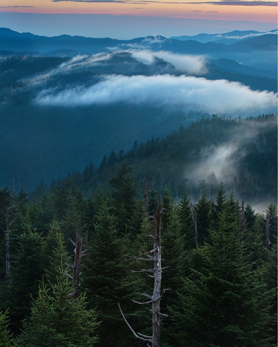 Clingmans Dome