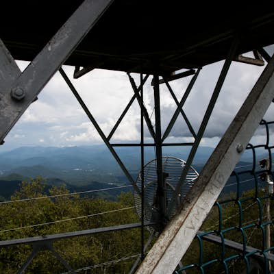 Hike to Cowee Bald Fire Tower