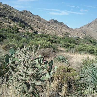 Hike the Dripping Springs Natural area